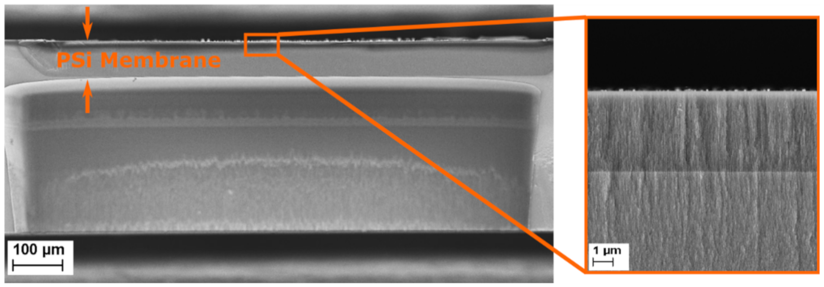 Biosensors 11 00027 g004