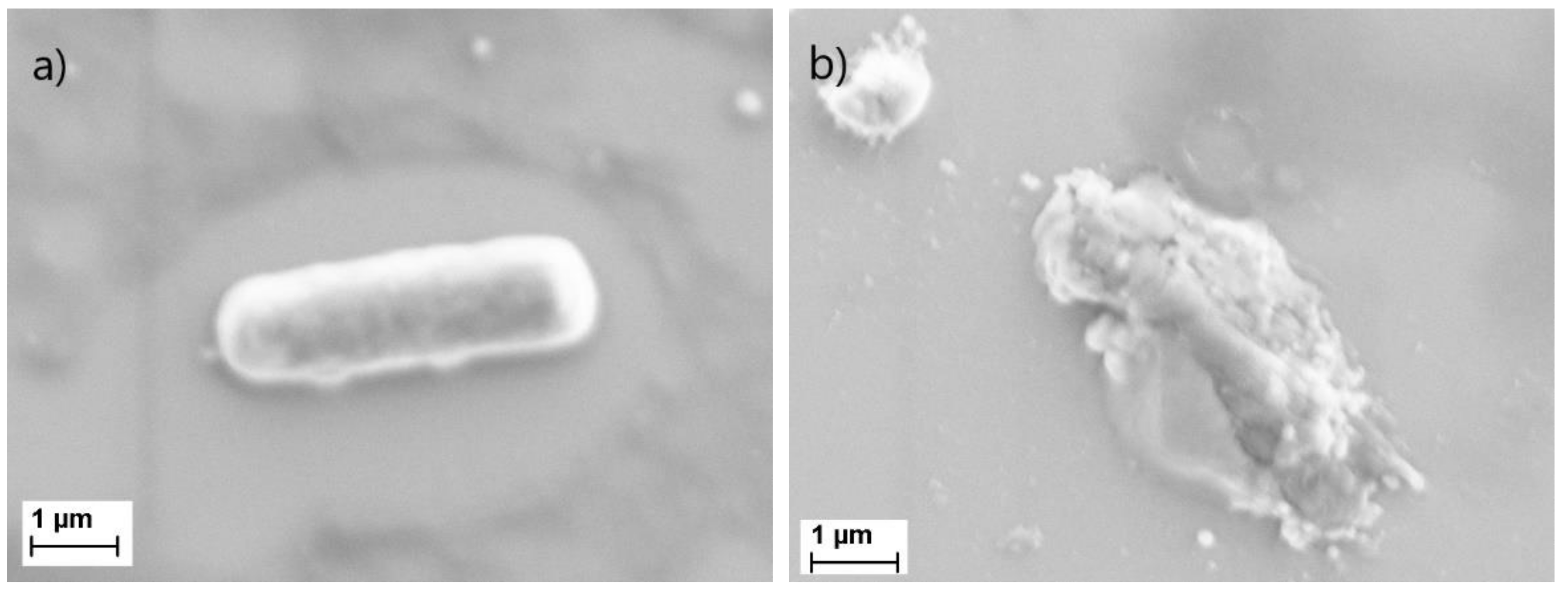 Biosensors 11 00027 g006