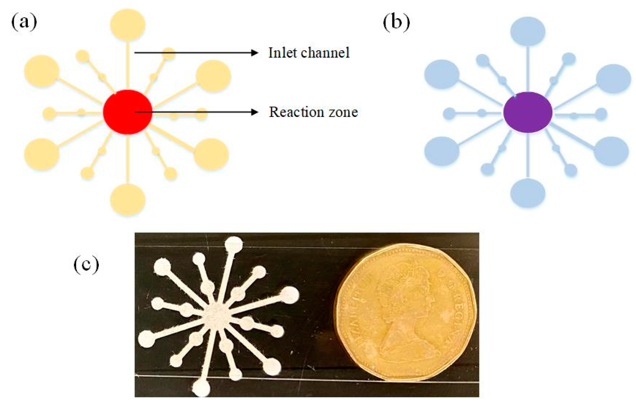 Biosensors 11 00029 g001 Biosensors 11 00029 g001