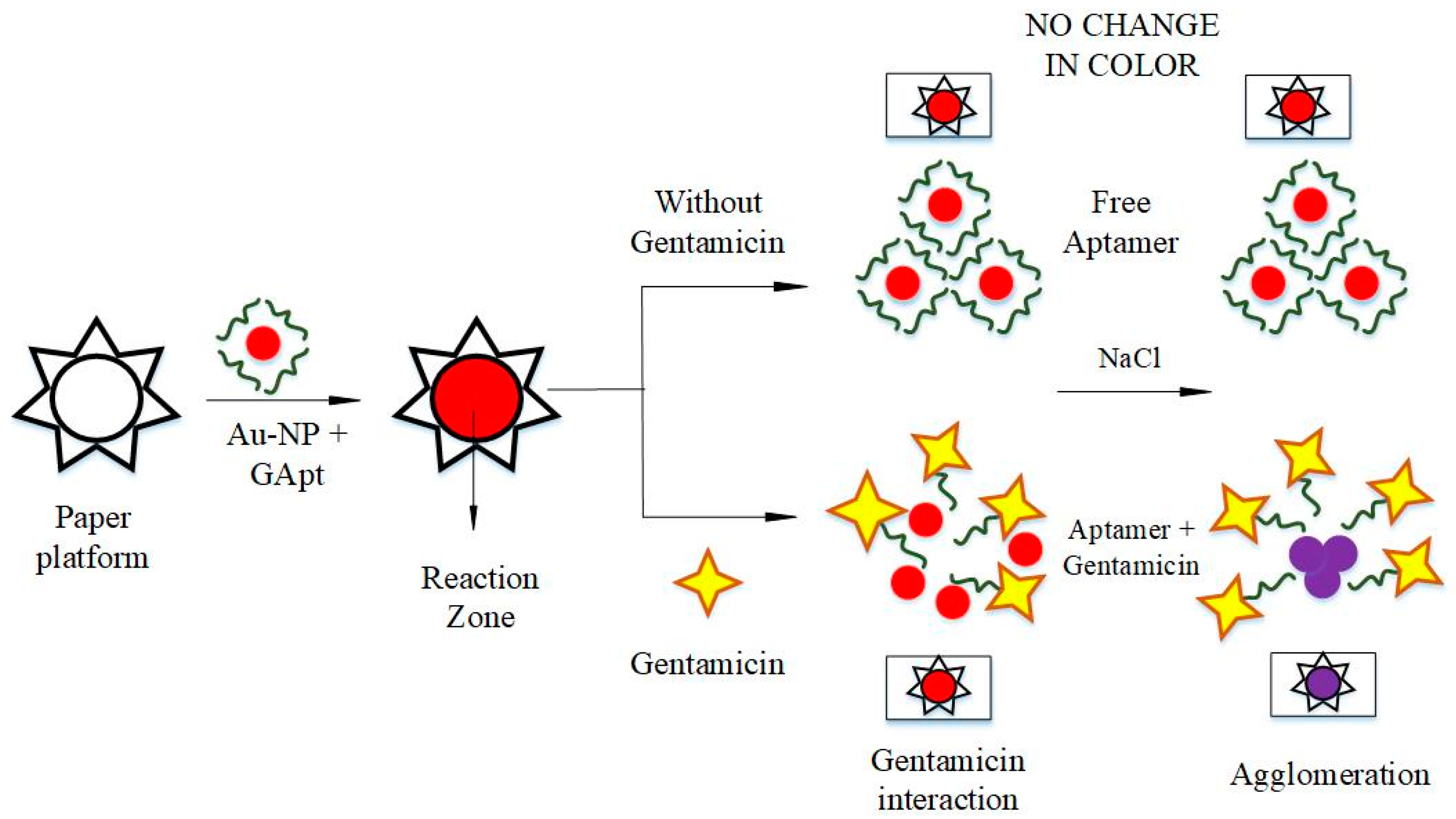 Biosensors 11 00029 g003 Biosensors 11 00029 g003