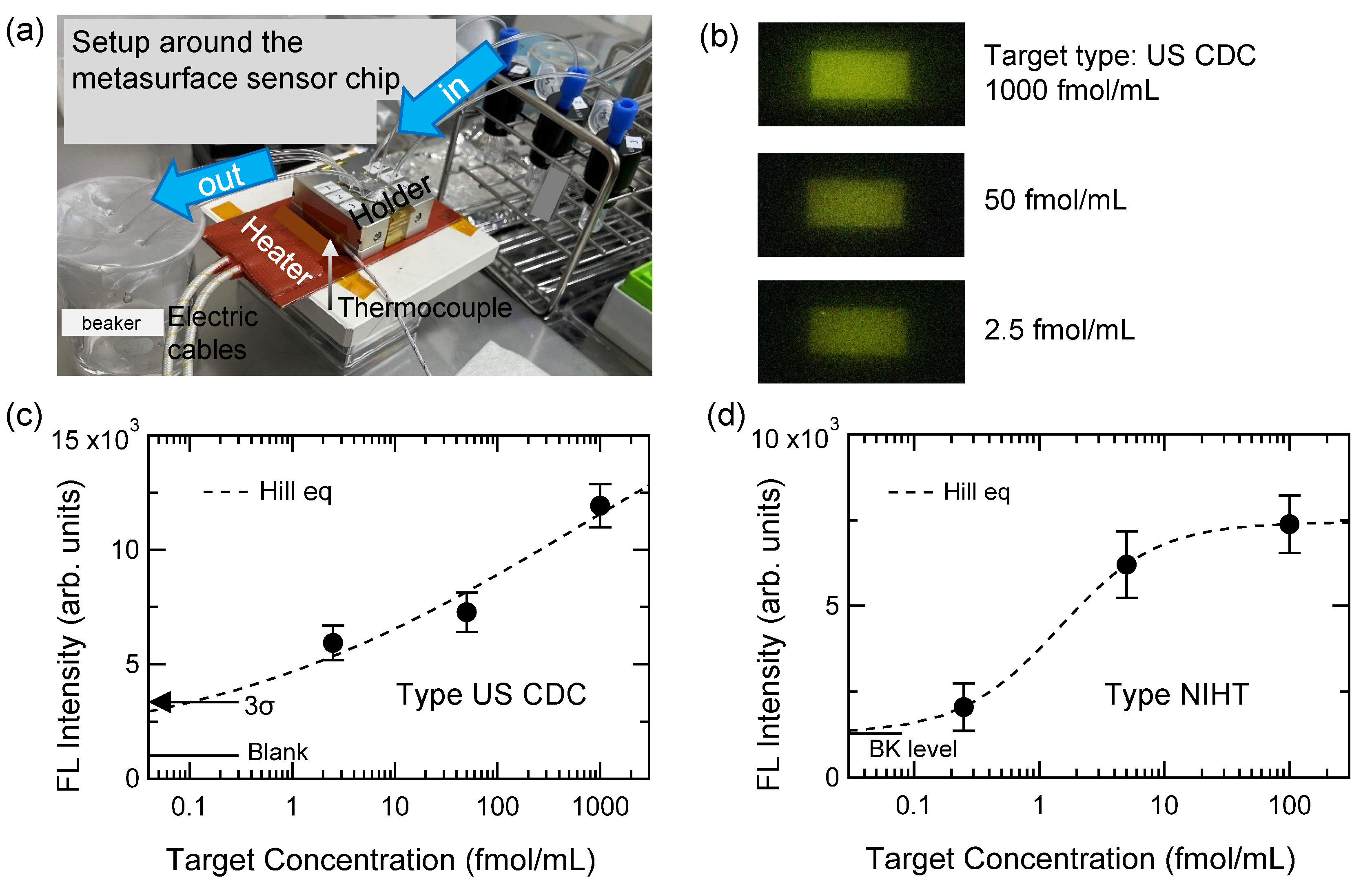 Biosensors 11 00033 g002