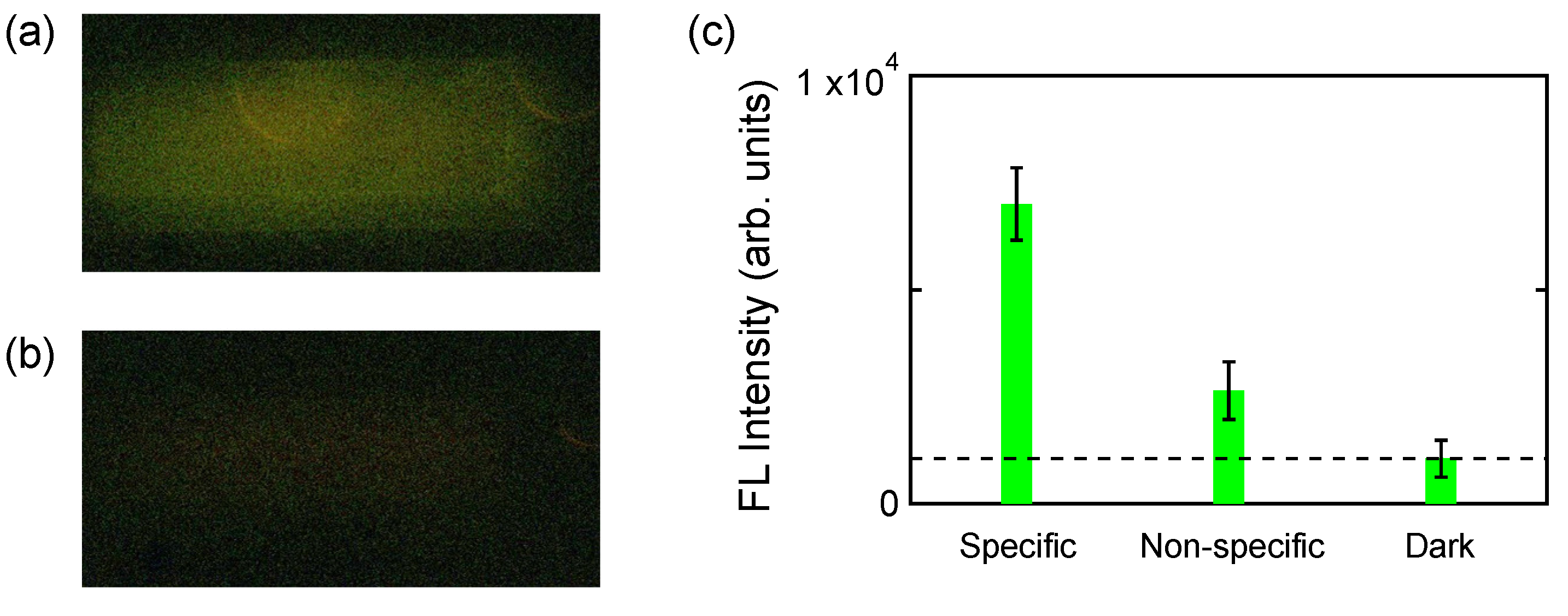 Biosensors 11 00033 g003