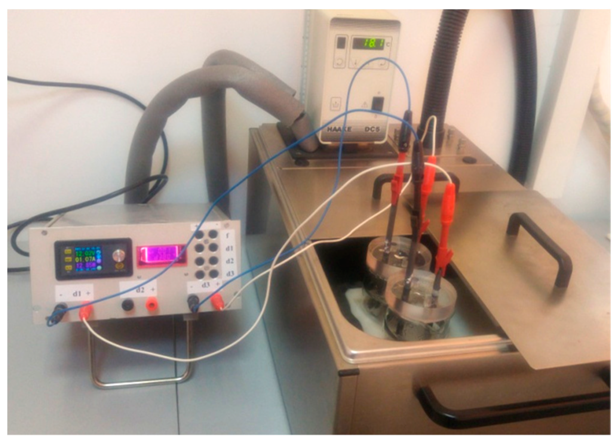 Biosensors 11 00036 g001