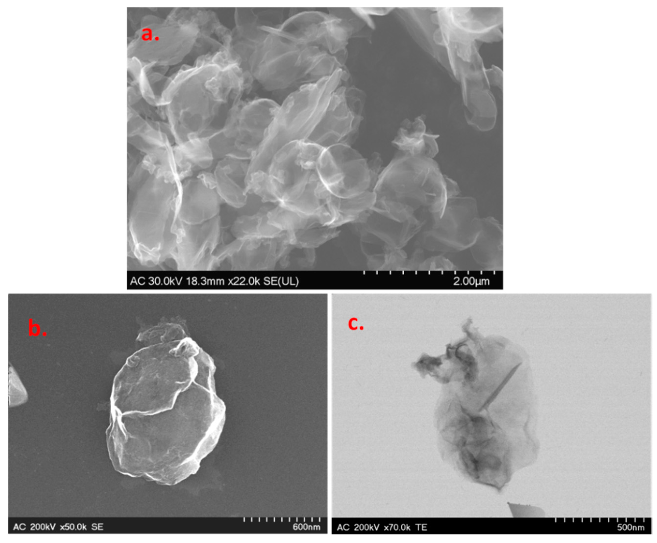 Biosensors 11 00036 g002