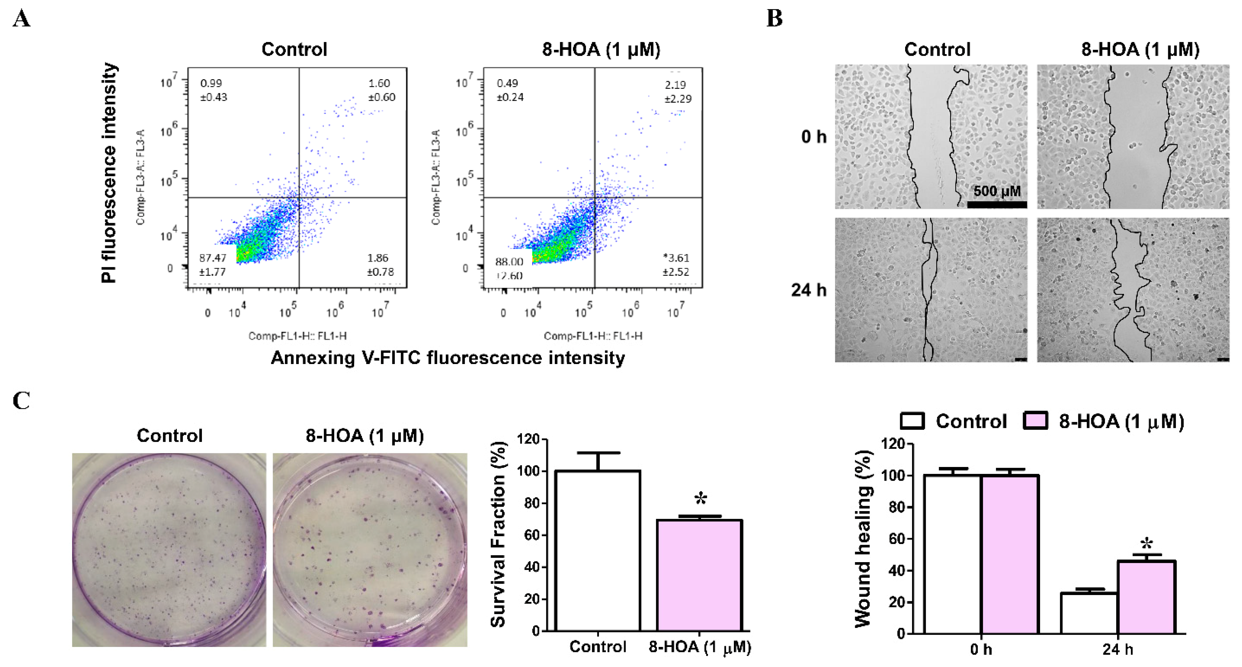 Biosensors 11 00040 g005