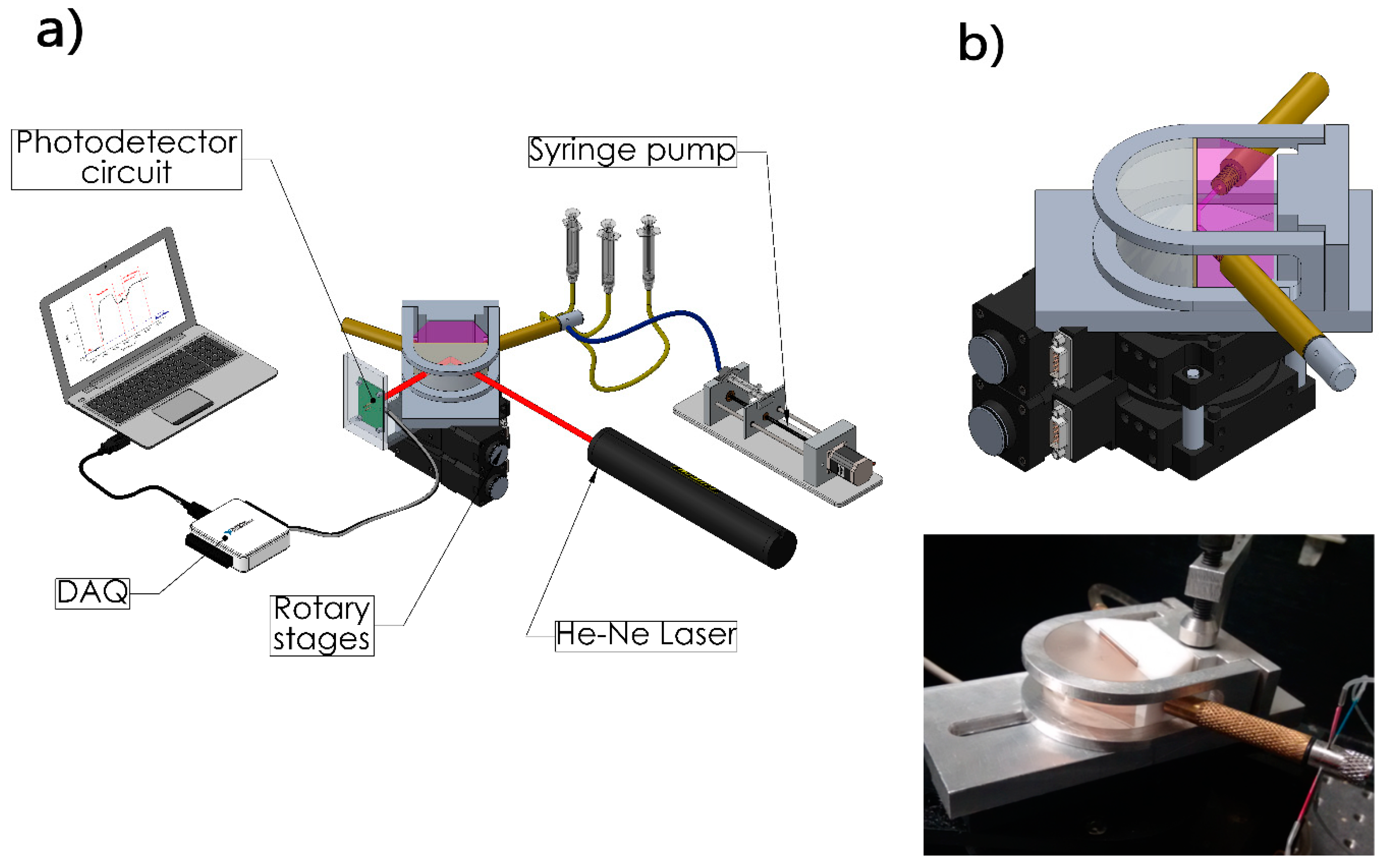 Biosensors 11 00043 g001