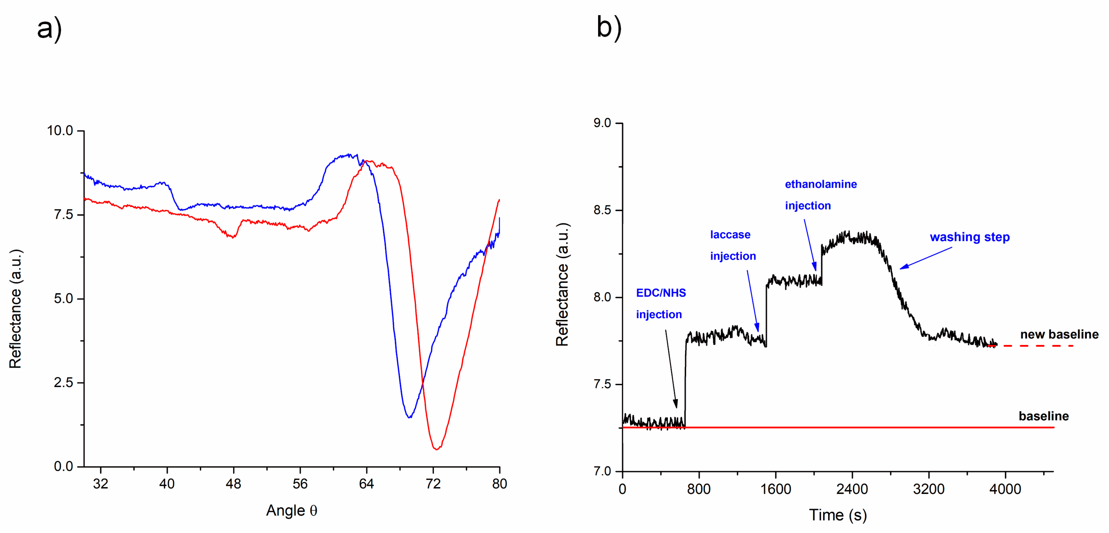 Biosensors 11 00043 g002