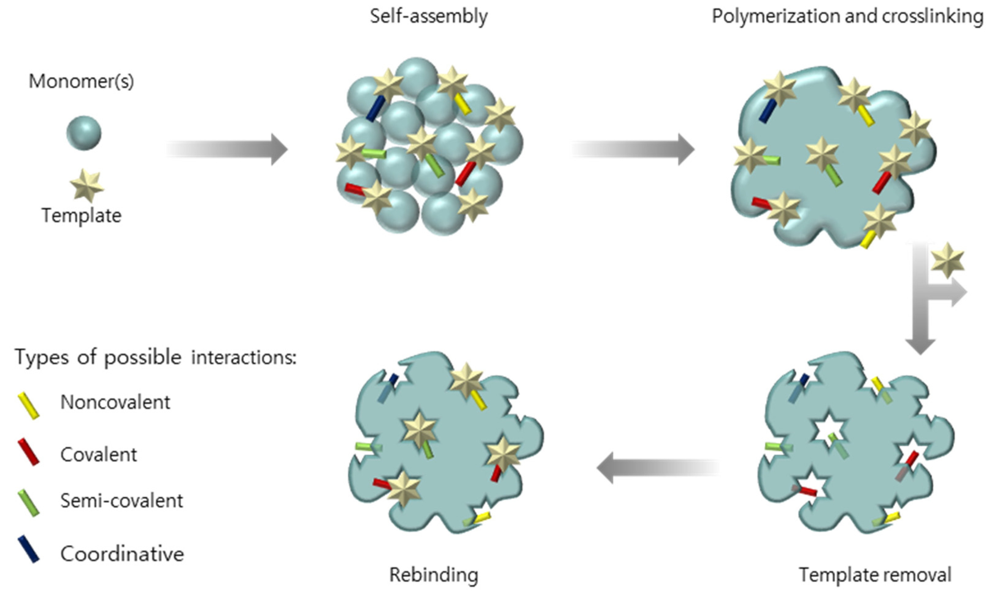 Biosensors 11 00046 g001