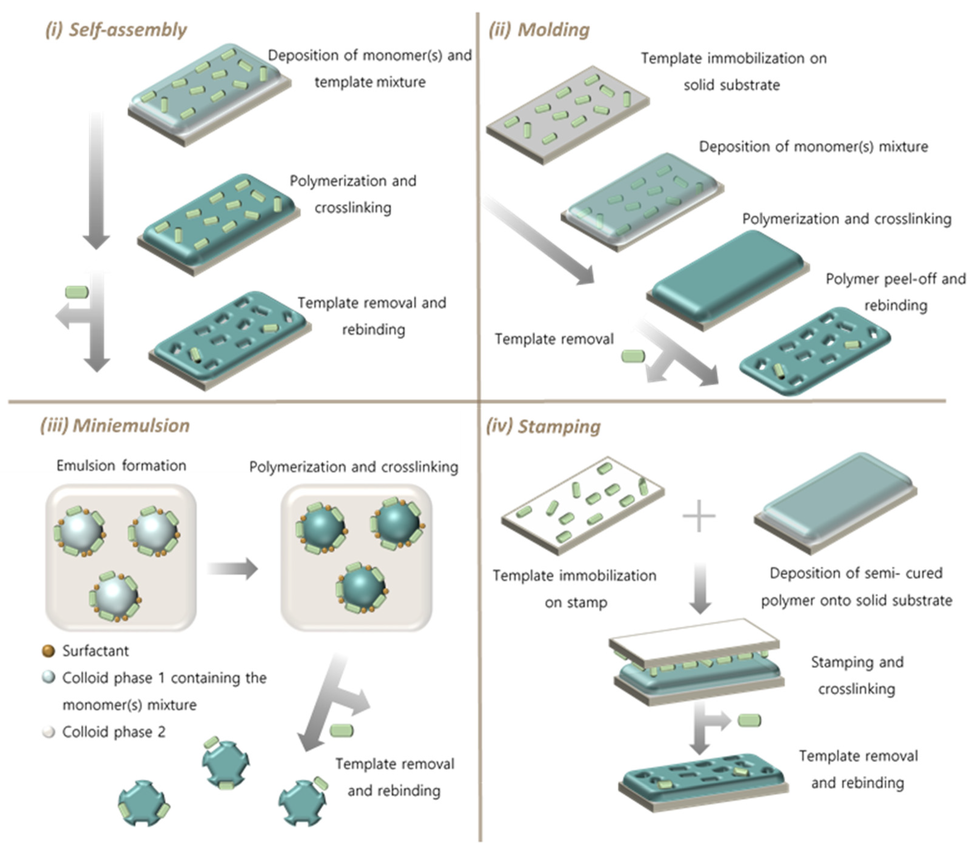 Biosensors 11 00046 g002