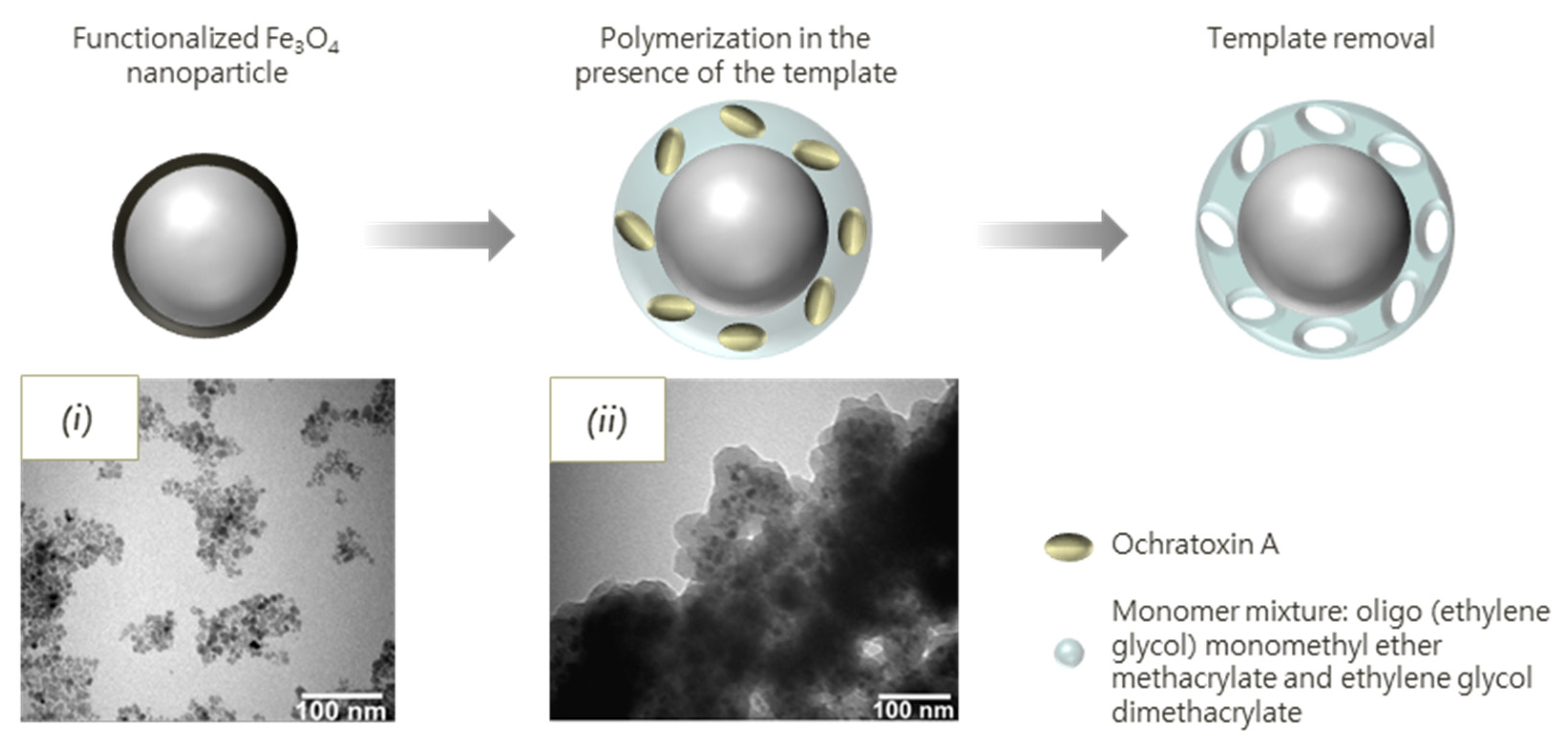Biosensors 11 00046 g003