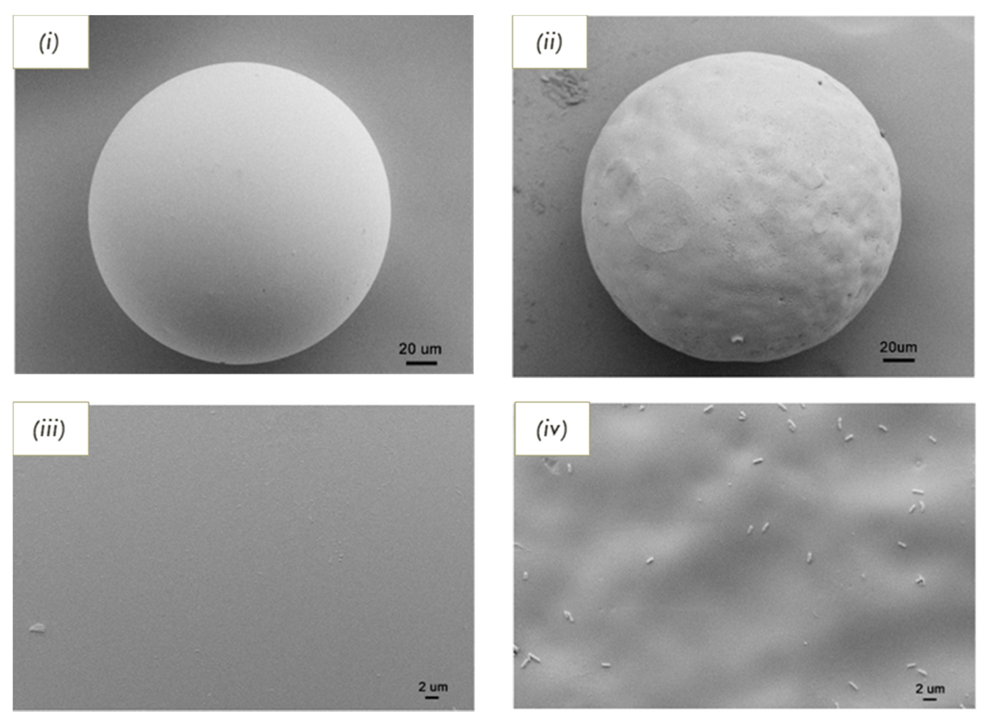 Biosensors 11 00046 g004