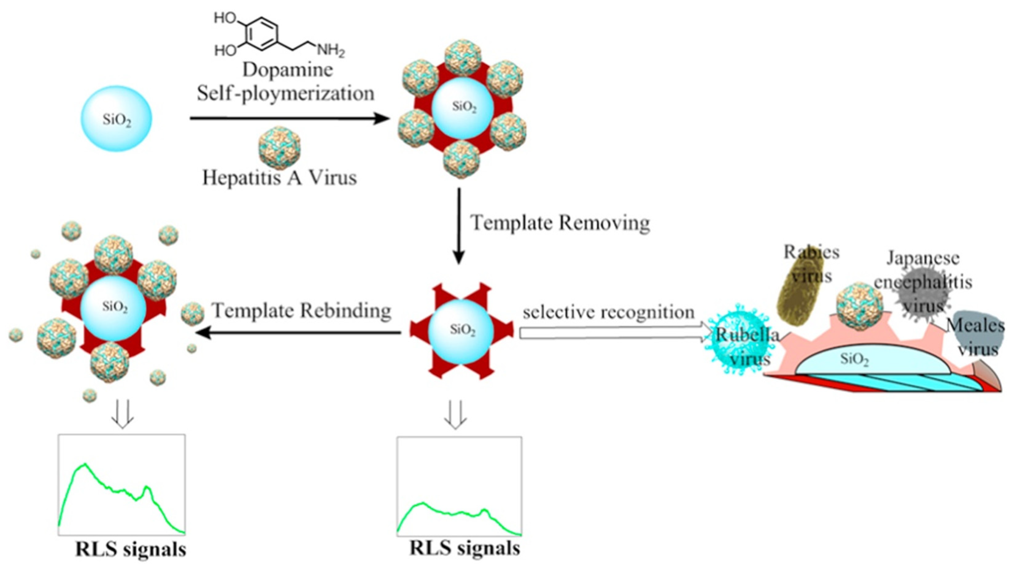 Biosensors 11 00046 g006
