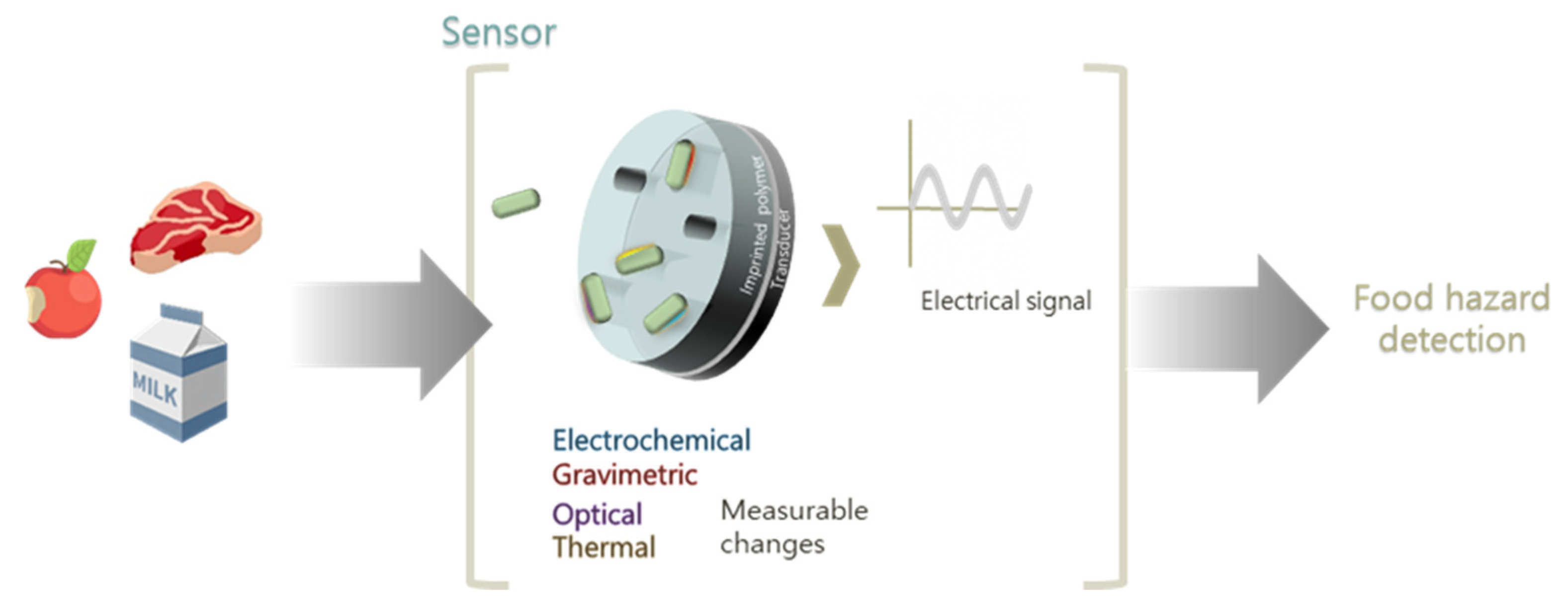 Biosensors 11 00046 g007