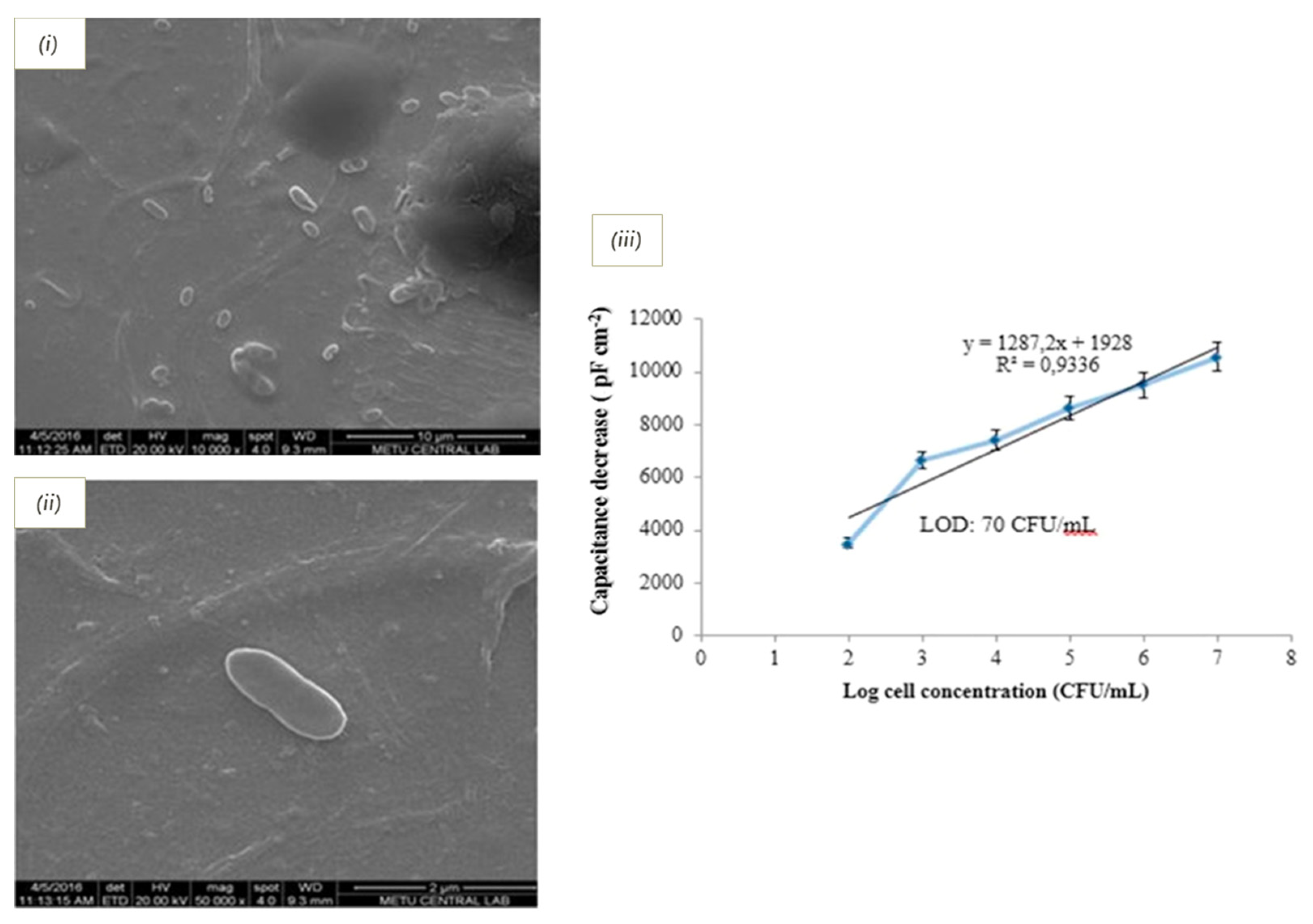 Biosensors 11 00046 g008