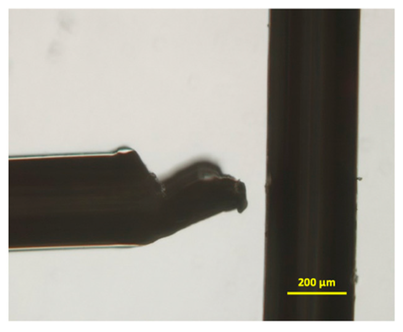 Biosensors 11 00050 g003