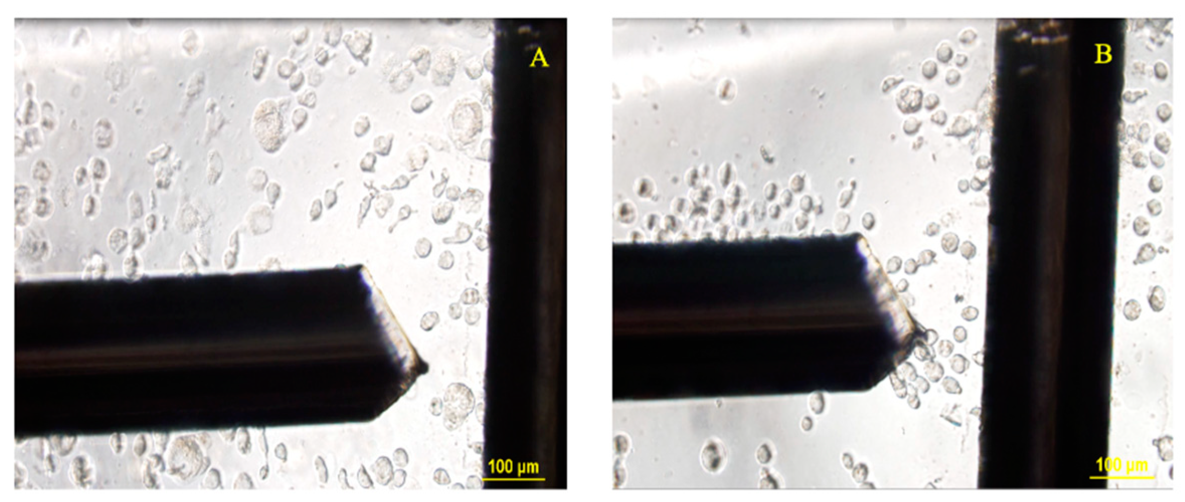Biosensors 11 00050 g005