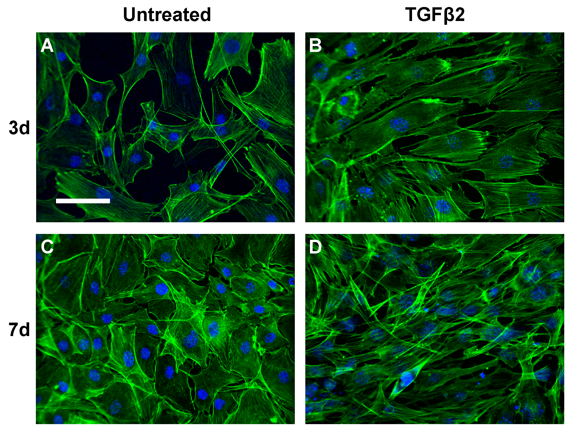 Biosensors 11 00050 g006