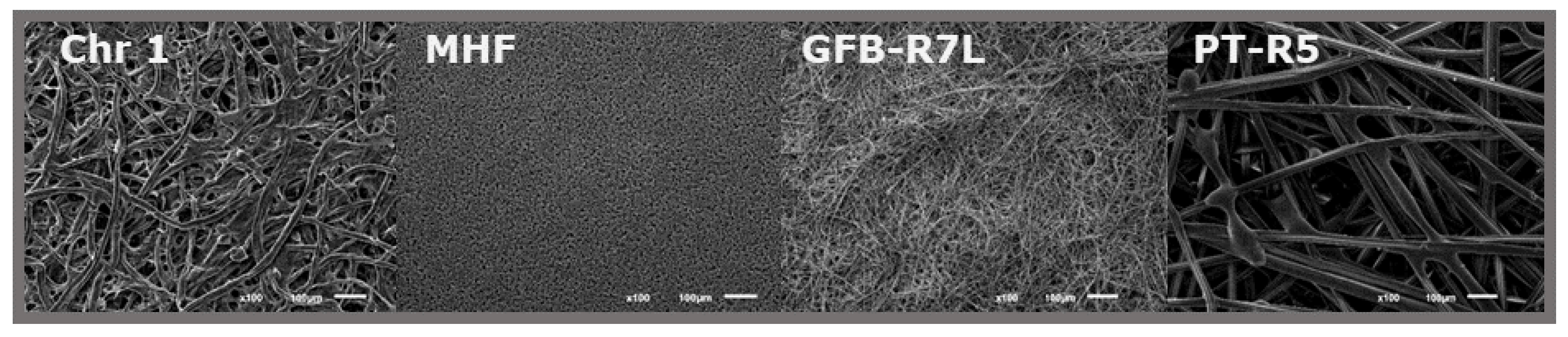 Biosensors 11 00051 g002