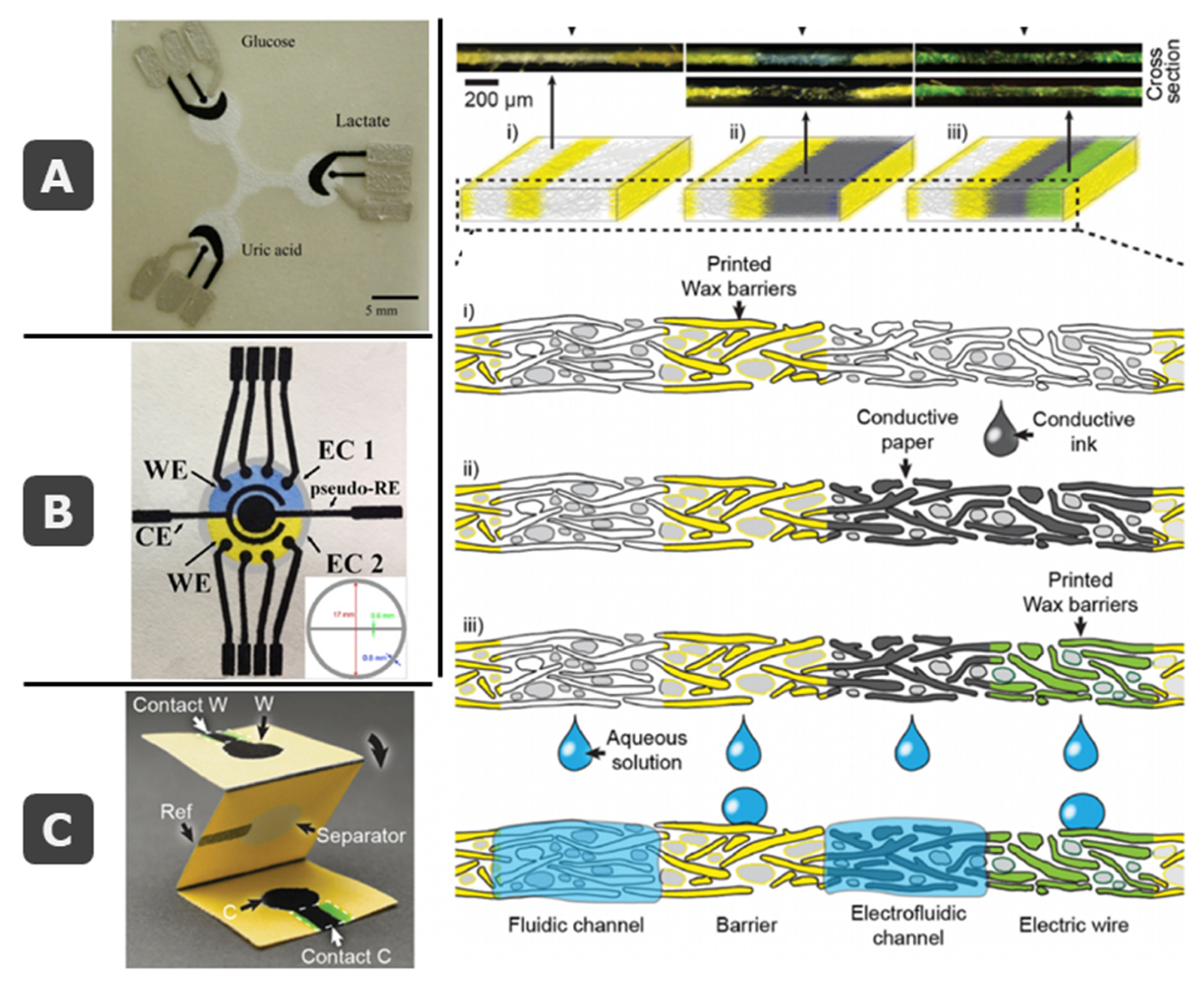 Biosensors 11 00051 g005