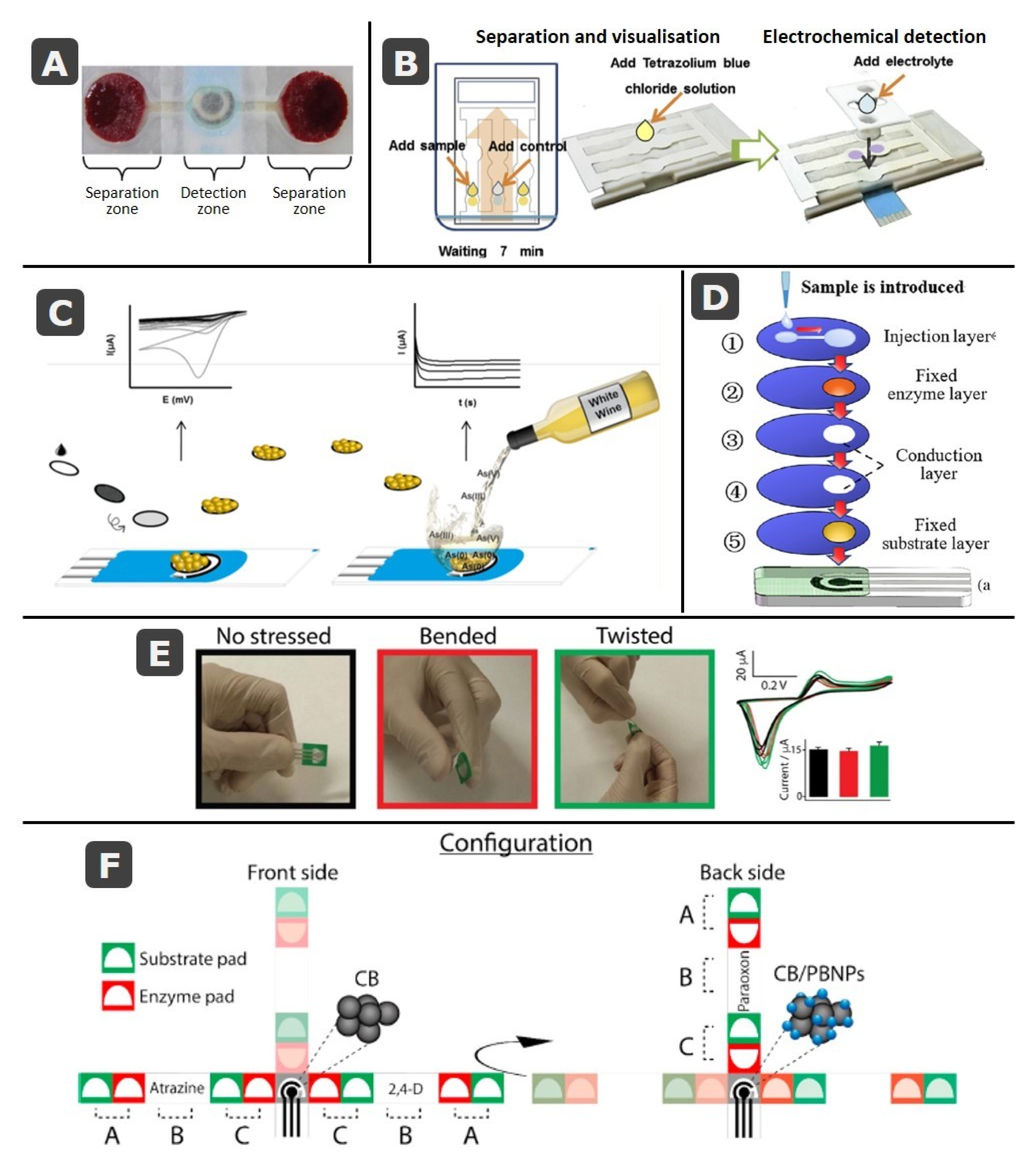 Biosensors 11 00051 g006