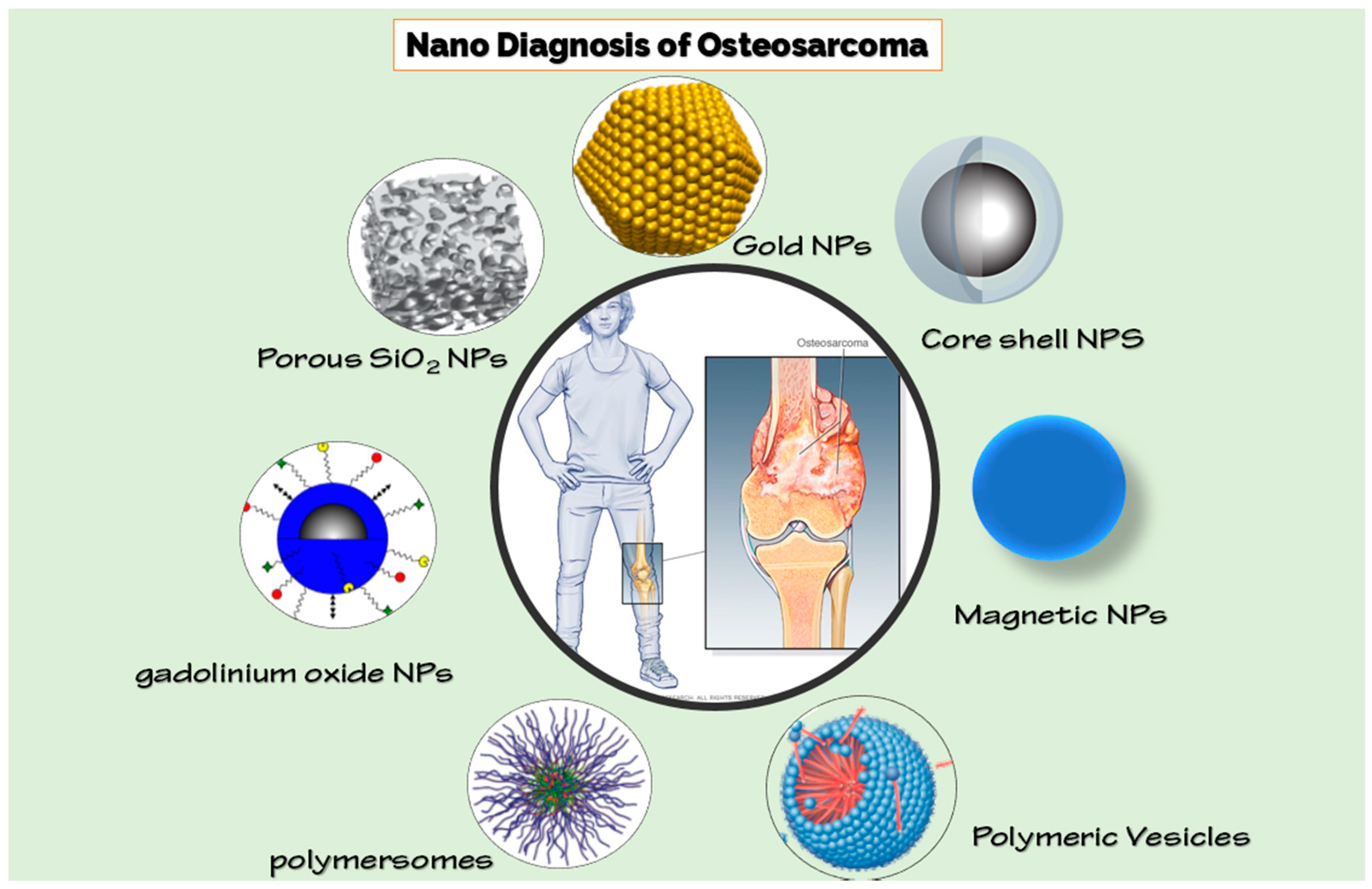 Biosensors 11 00055 g001