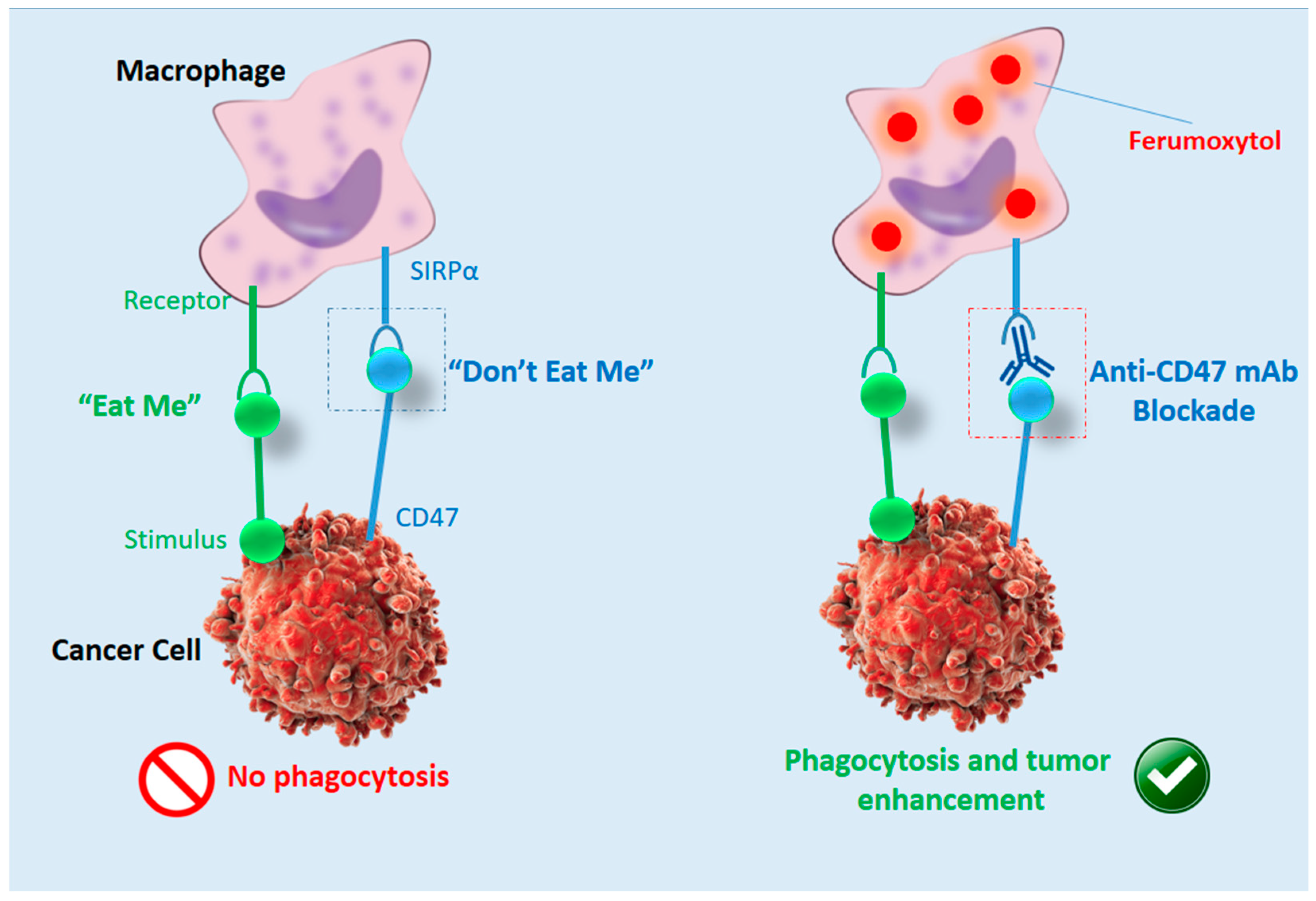 Biosensors 11 00055 g002