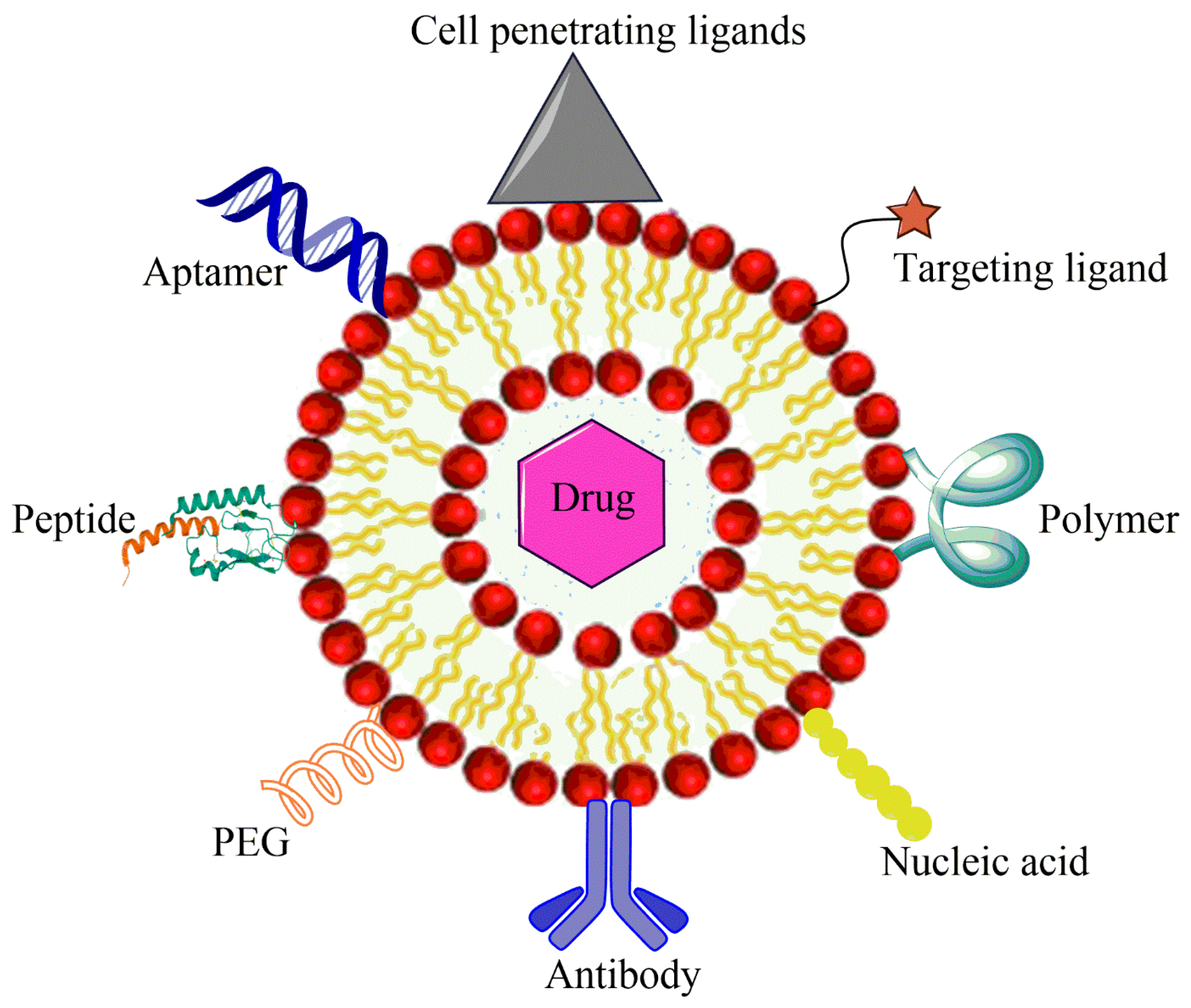 Biosensors 11 00055 g005