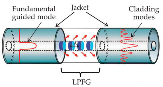 Biosensors 11 00058 g002