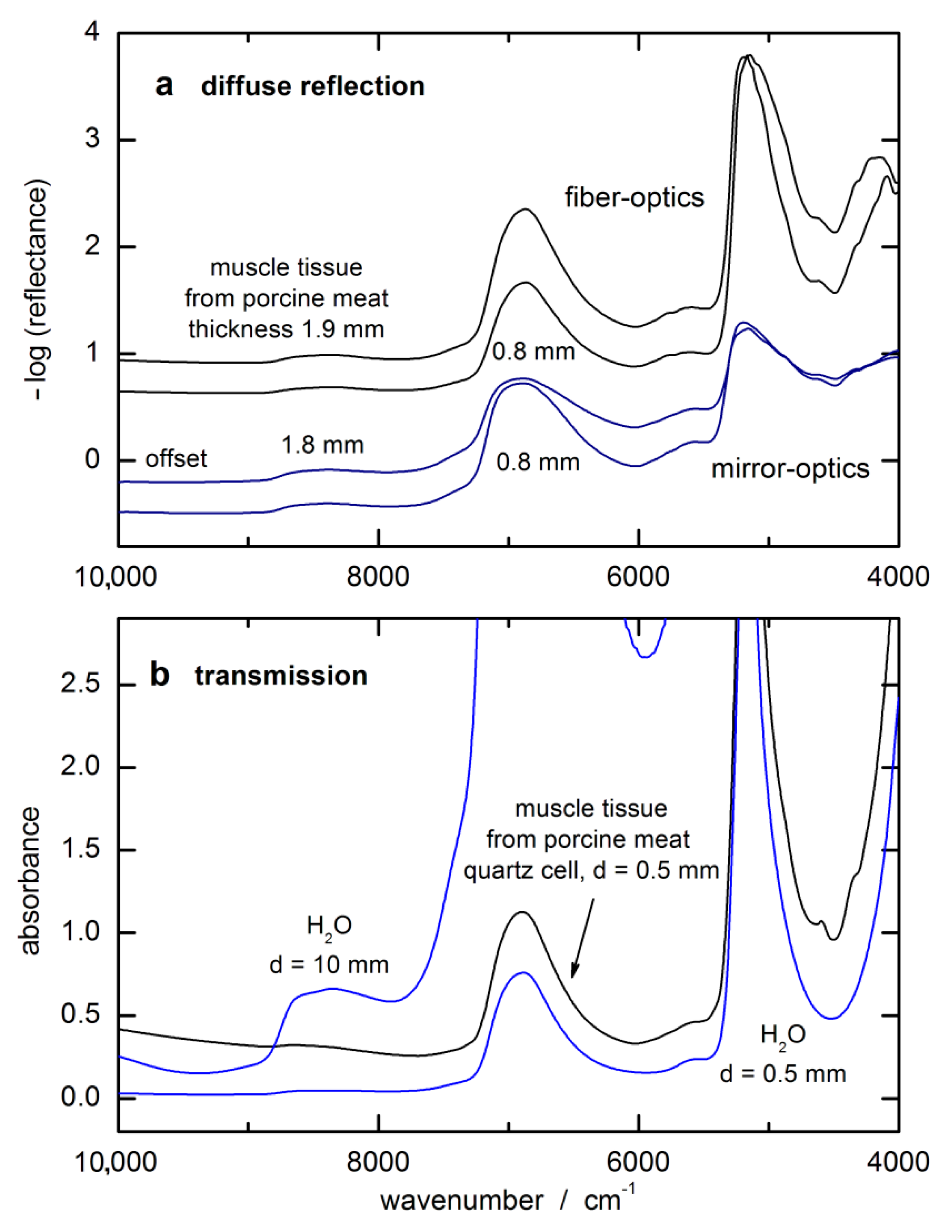Biosensors 11 00064 g002