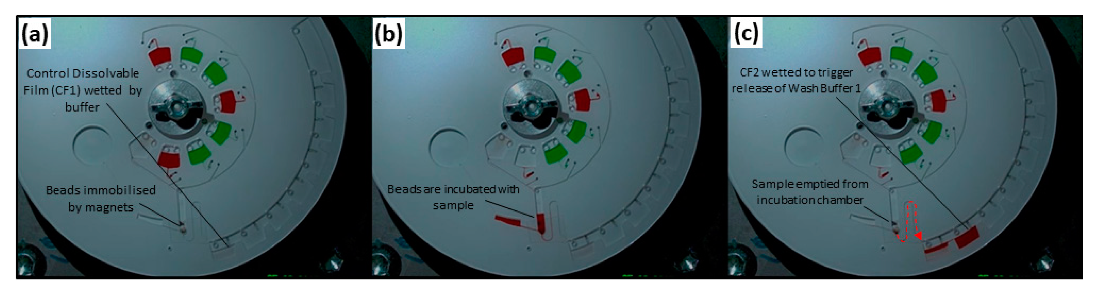 Biosensors 11 00073 g005