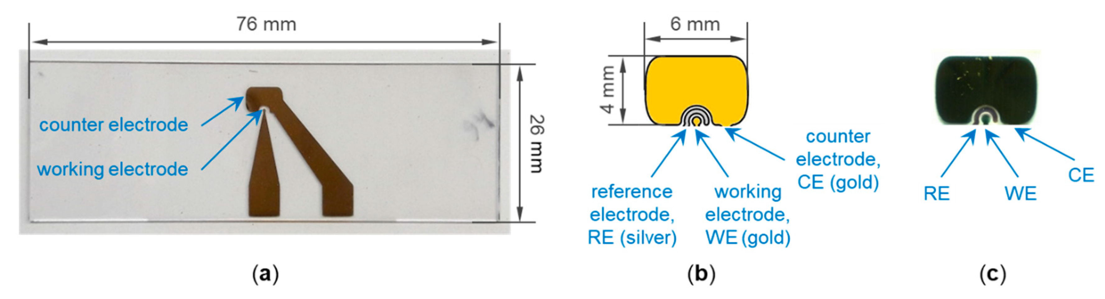 Biosensors 11 00080 g001