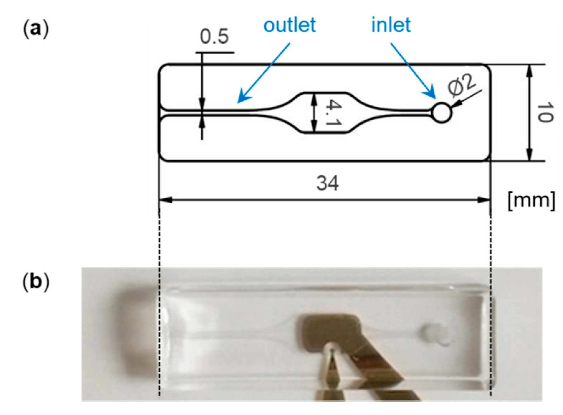 Biosensors 11 00080 g002