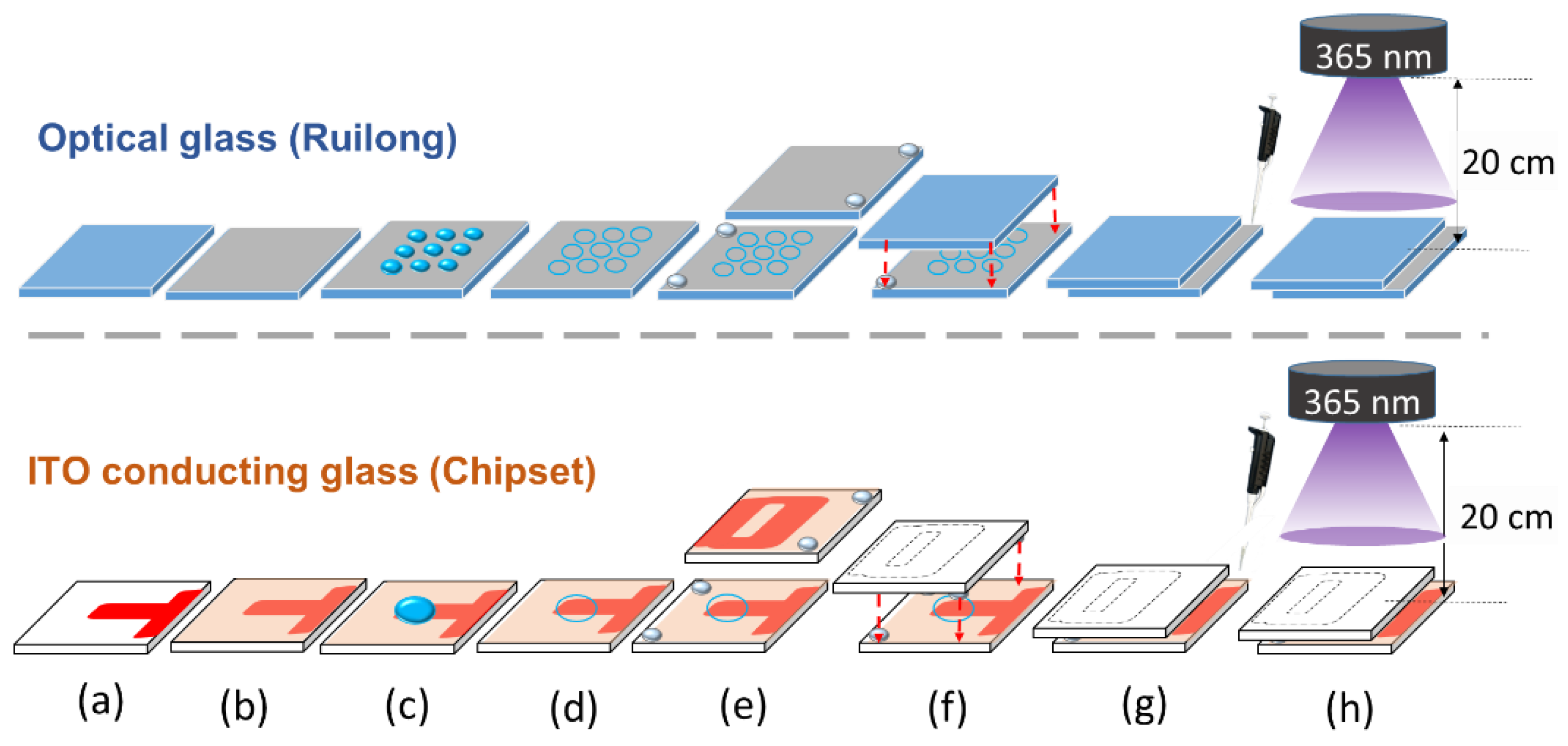 Biosensors 11 00081 g001 Biosensors 11 00081 g001