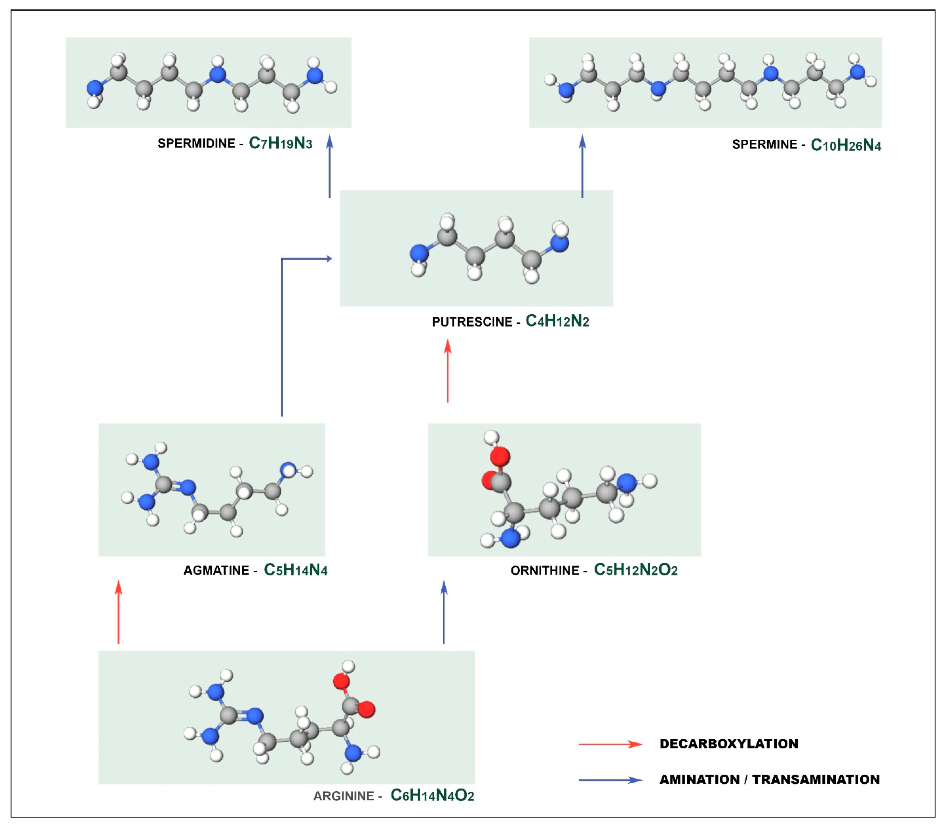 Biosensors 11 00082 g001
