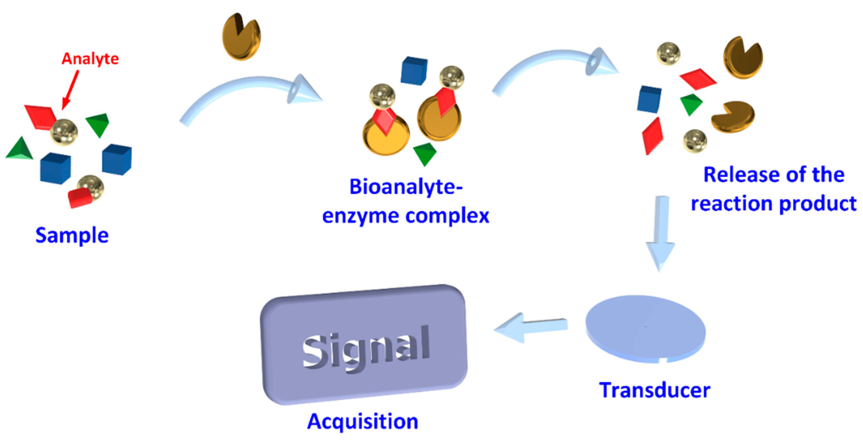 Biosensors 11 00082 g002