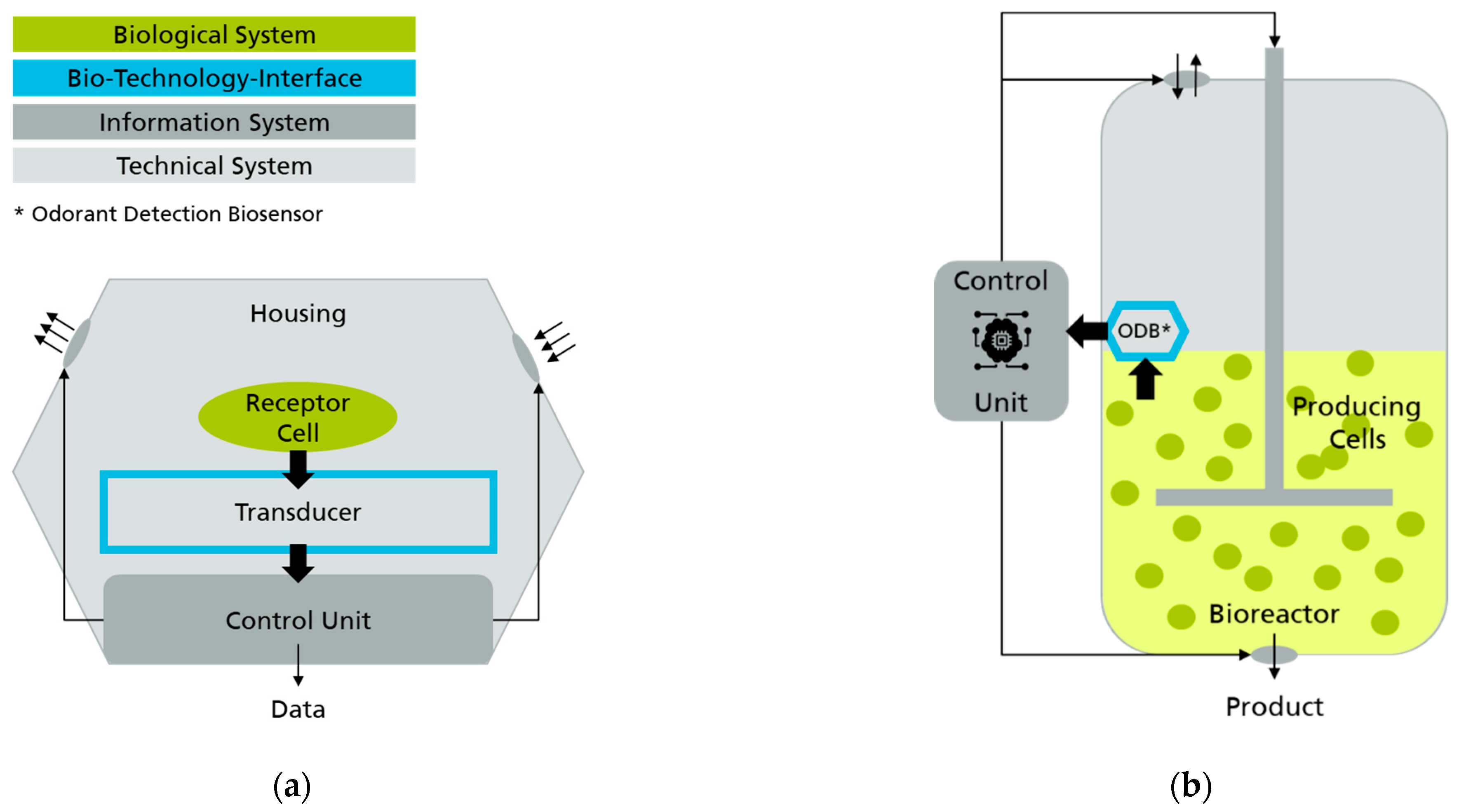 Biosensors 11 00093 g008 Biosensors 11 00093 g008