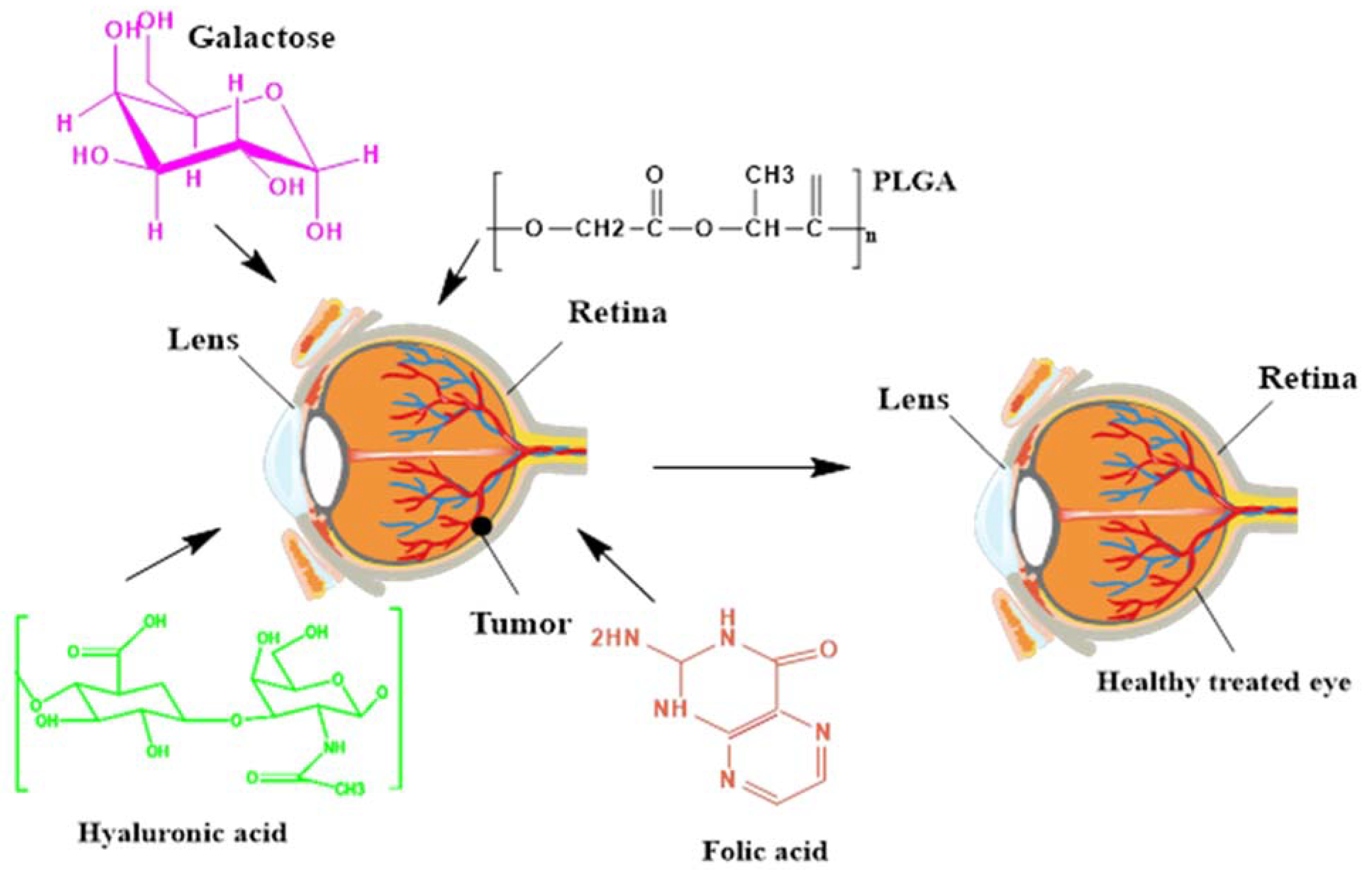 Biosensors 11 00097 g002