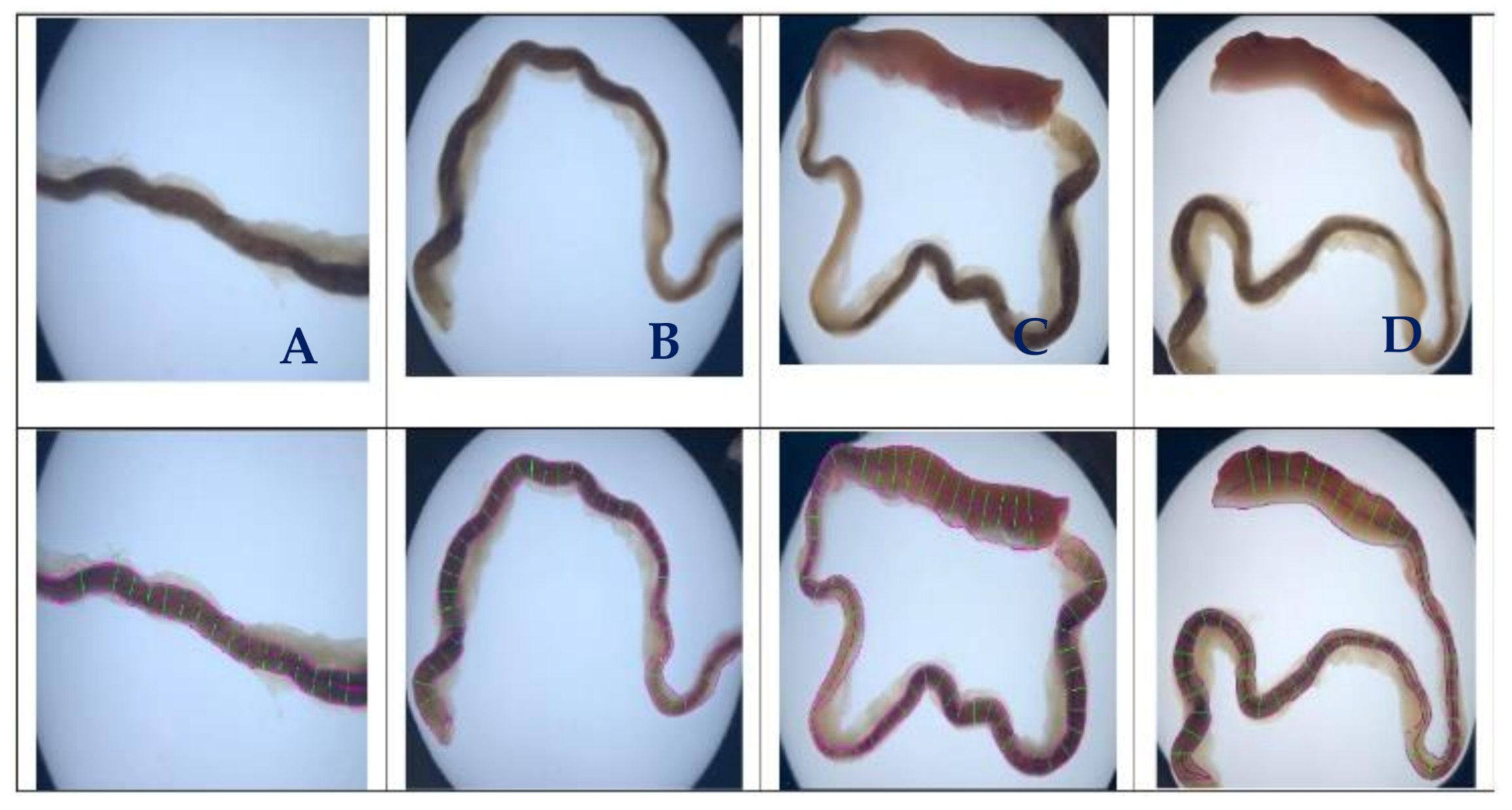 Biosensors 11 00100 g009