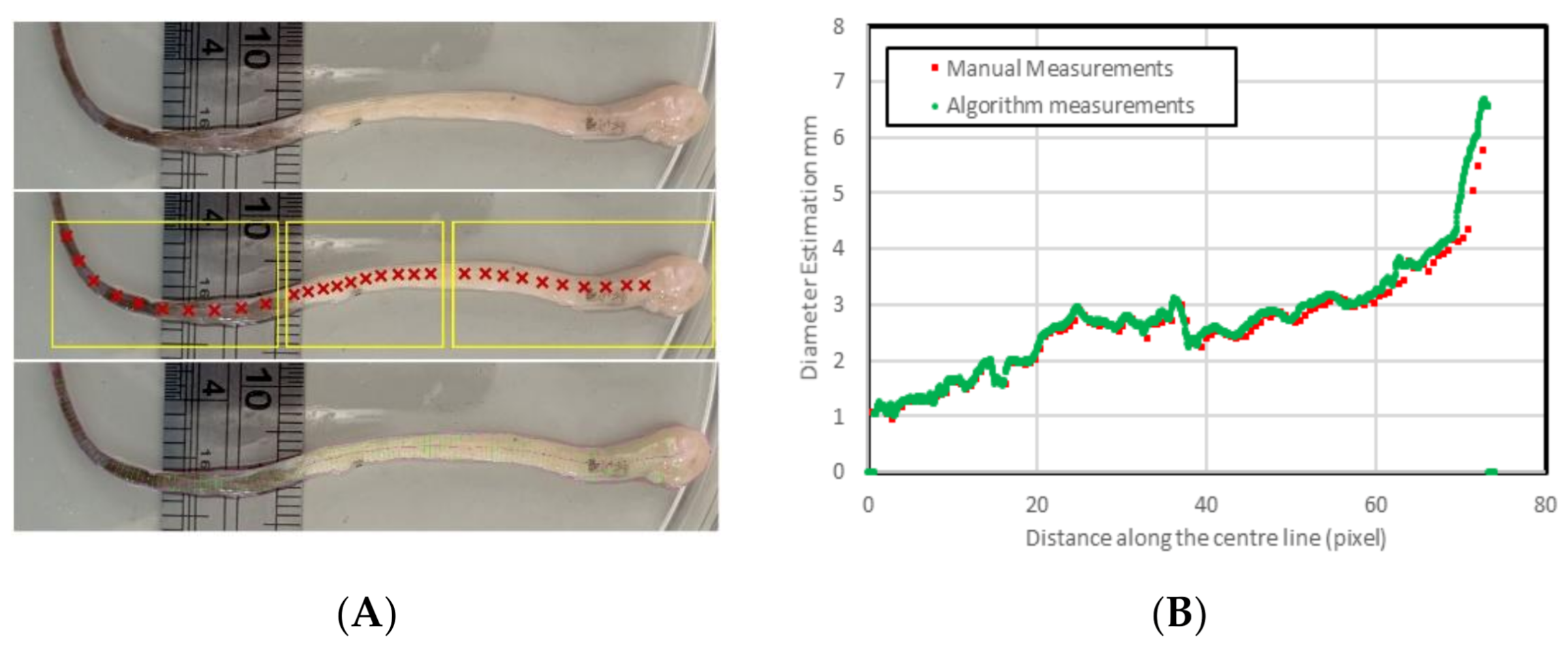 Biosensors 11 00100 g012