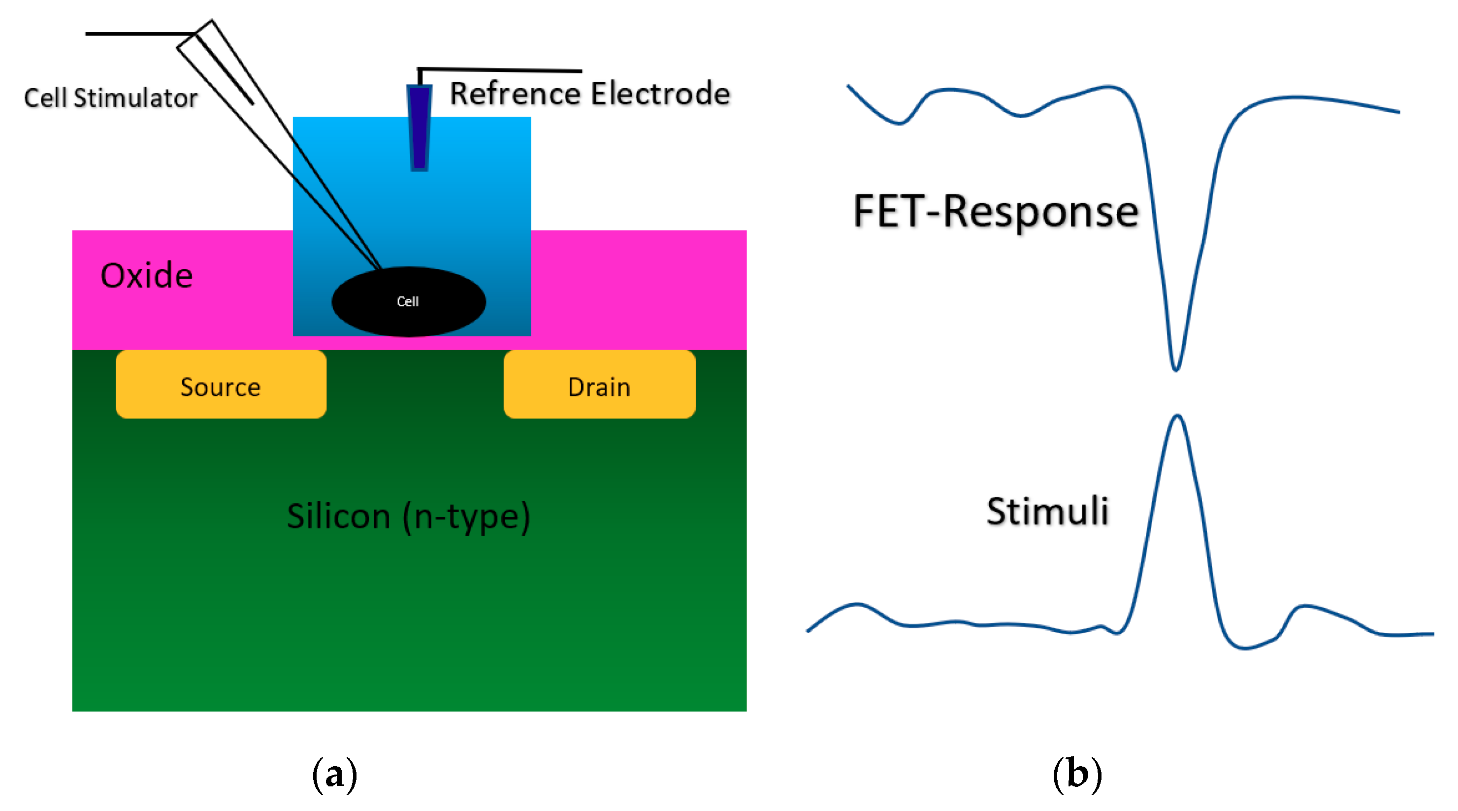 Biosensors 11 00103 g005