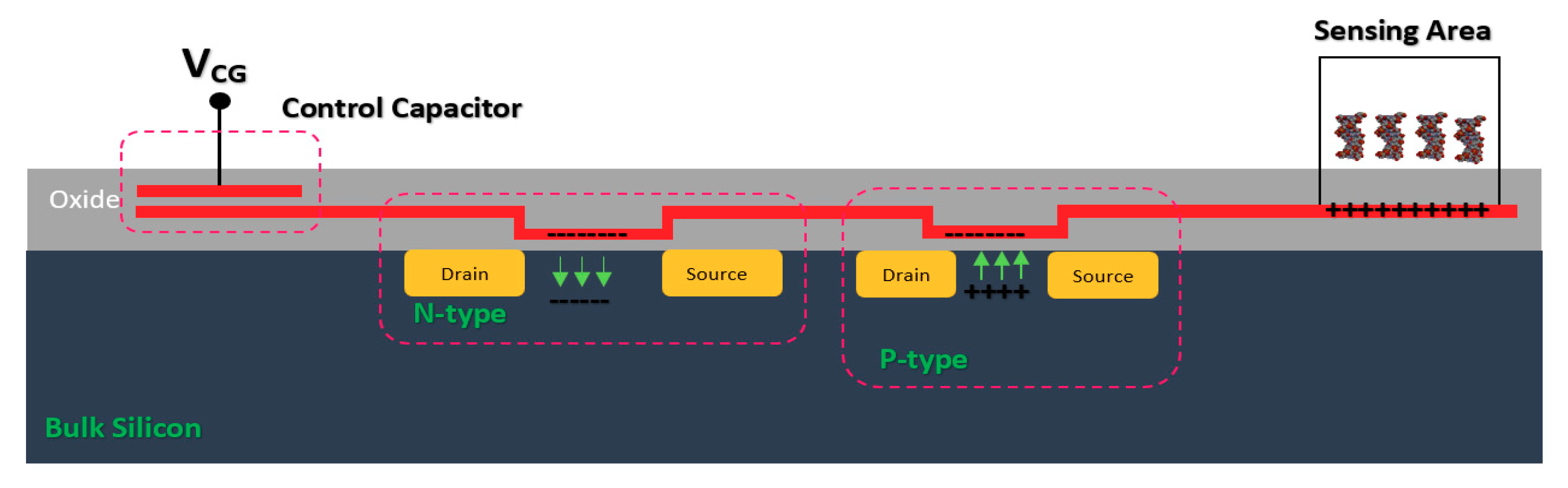 Biosensors 11 00103 g008