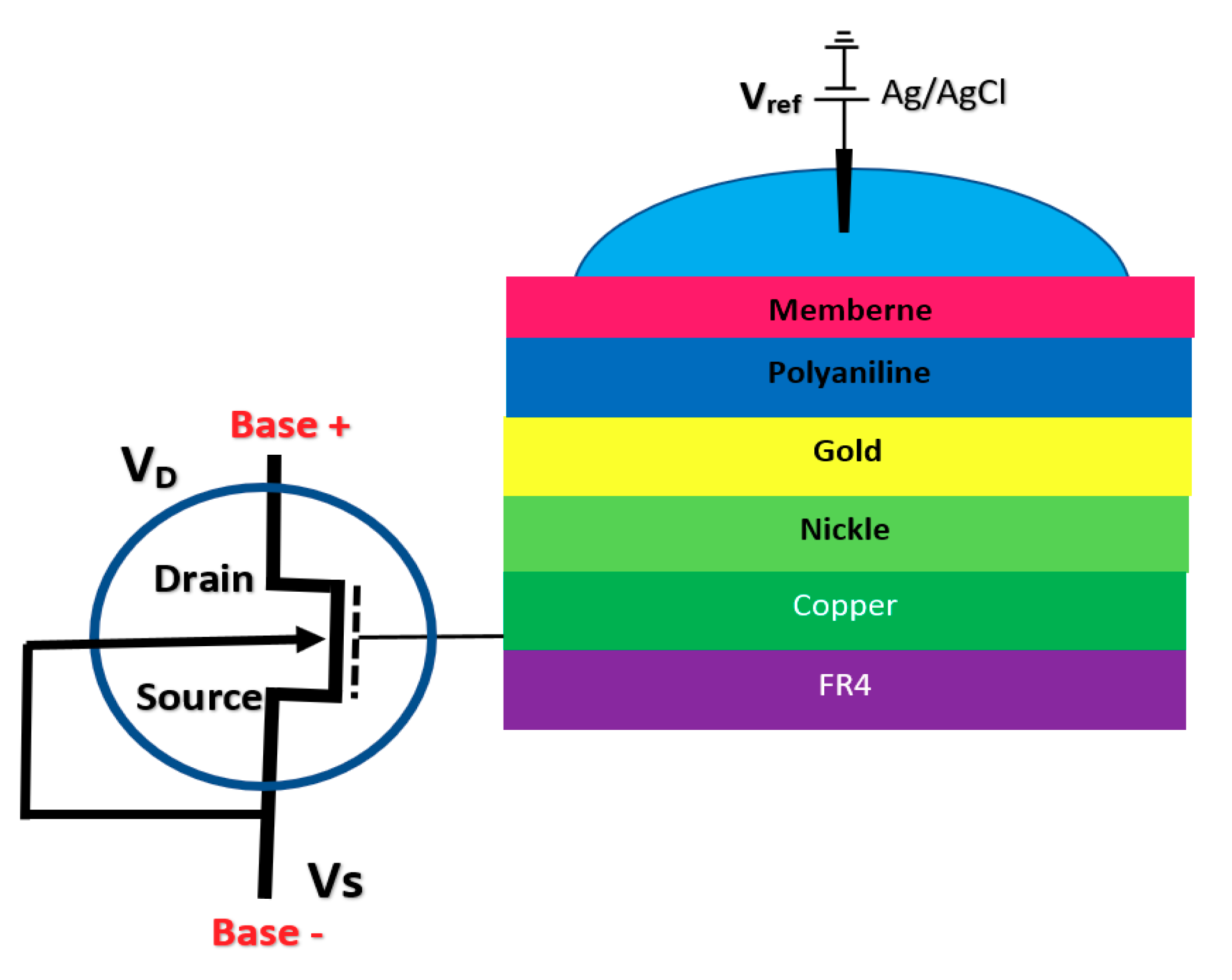 Biosensors 11 00103 g009