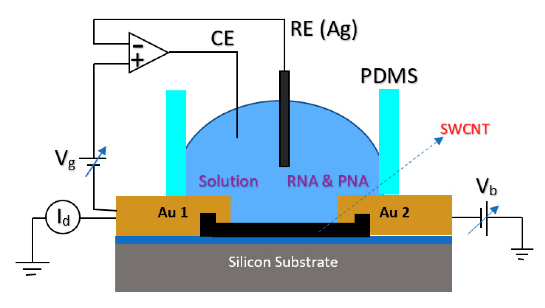 Biosensors 11 00103 g013