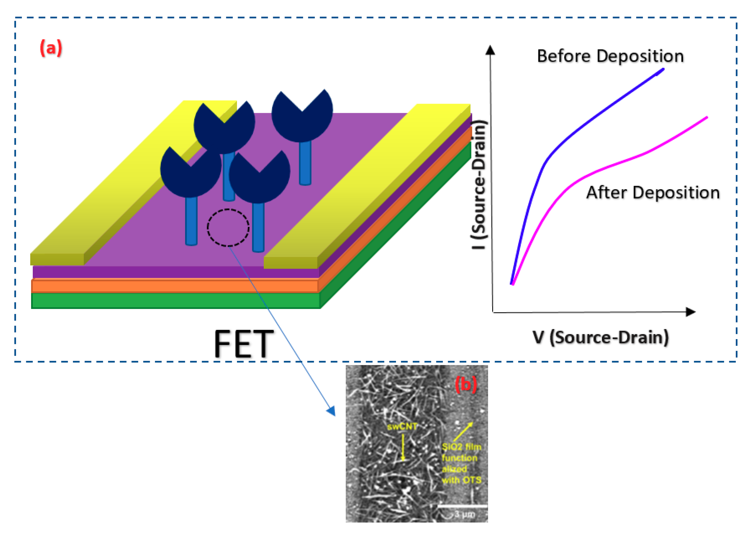 Biosensors 11 00103 g022