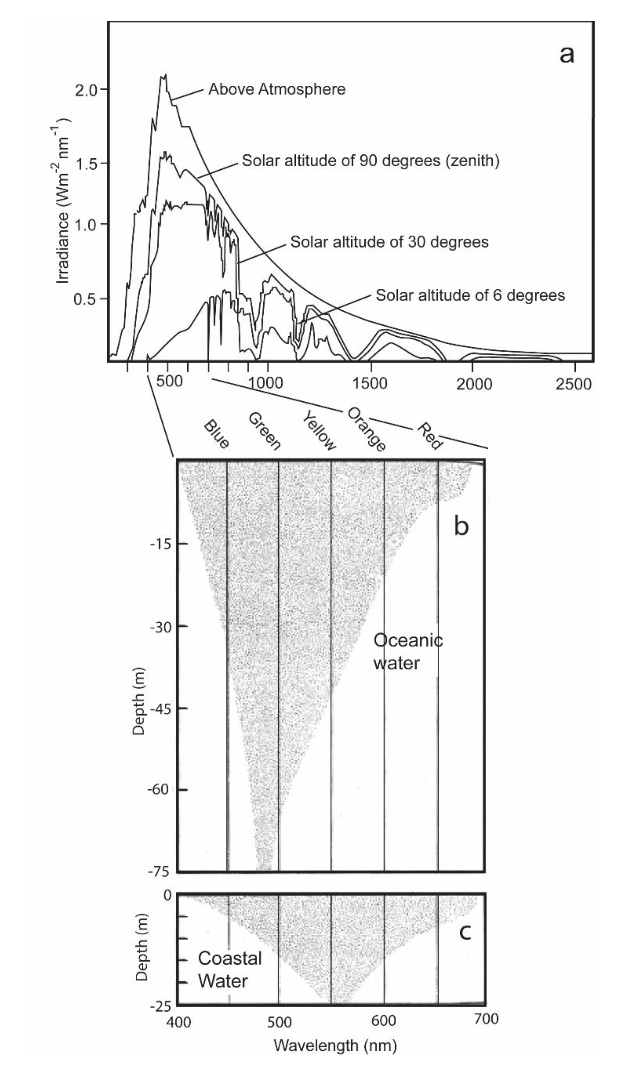 Biosensors 11 00105 g002 Biosensors 11 00105 g002