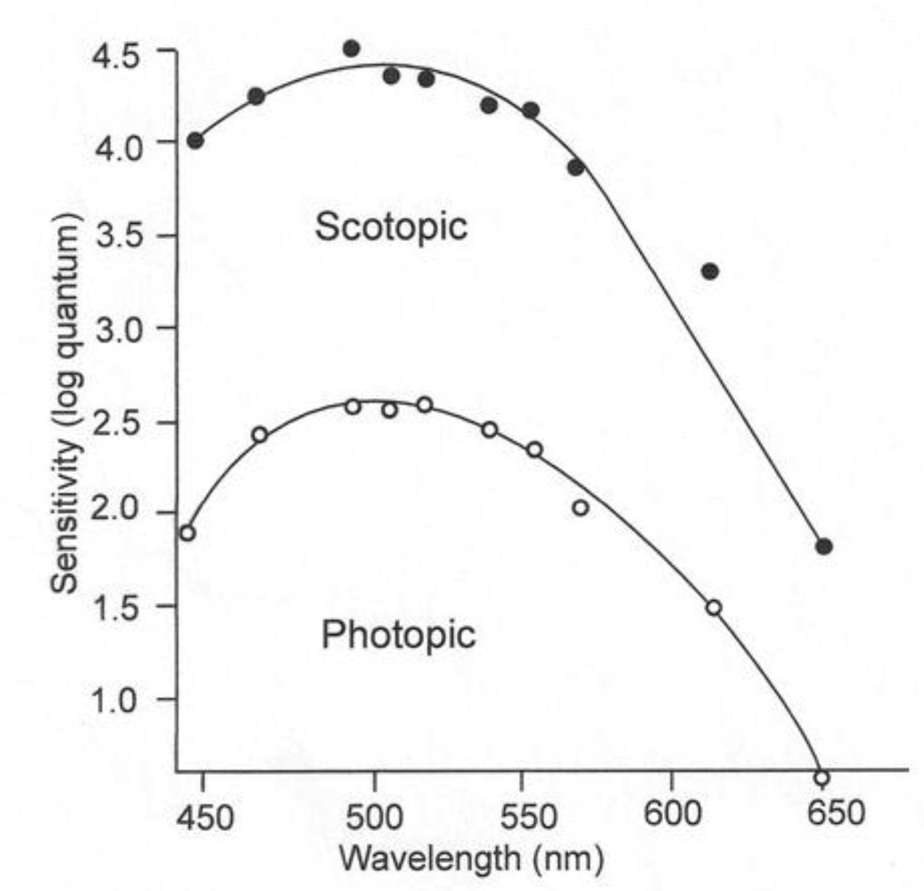 Biosensors 11 00105 g003 Biosensors 11 00105 g003