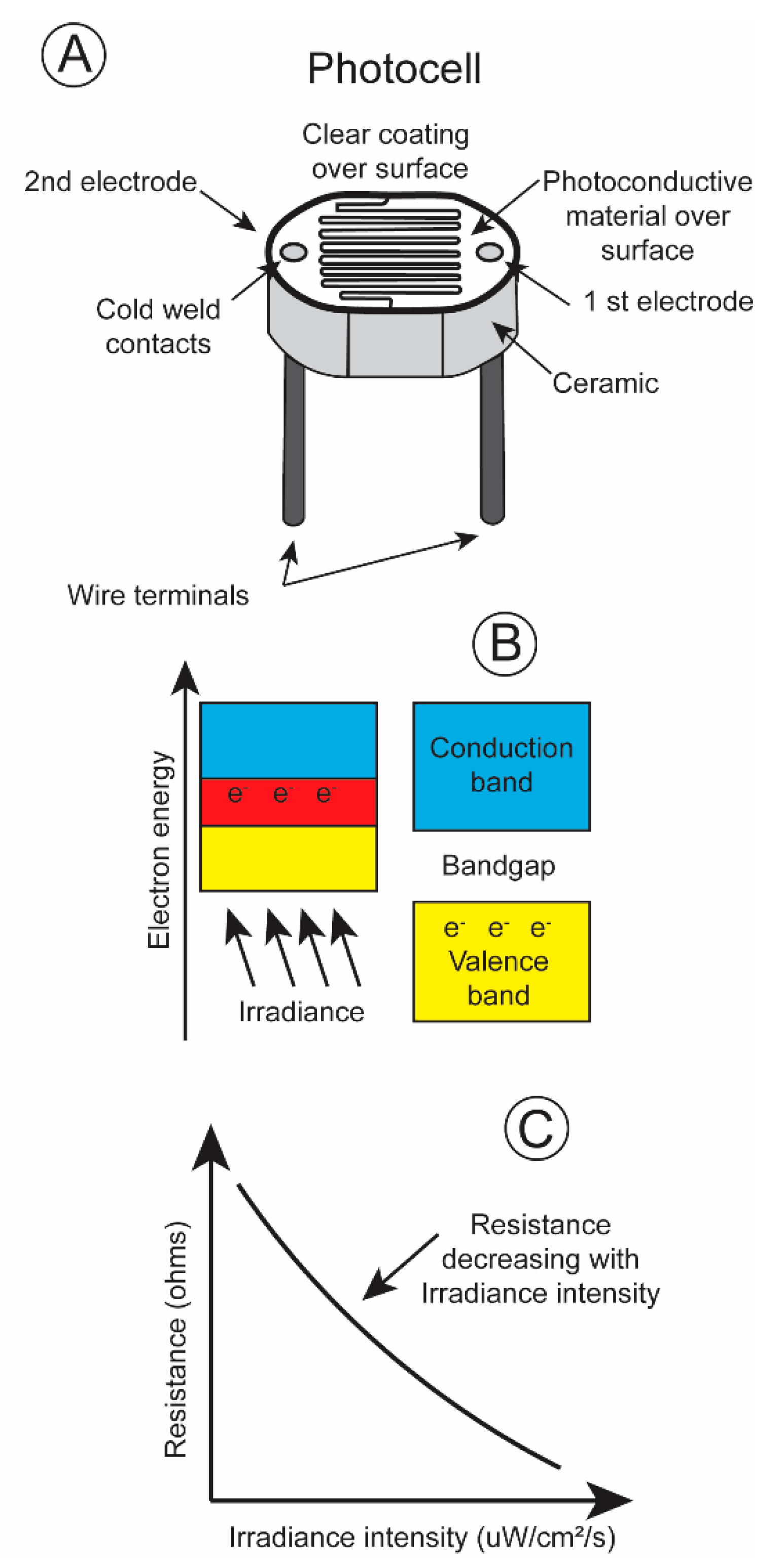 Biosensors 11 00105 g004 Biosensors 11 00105 g004