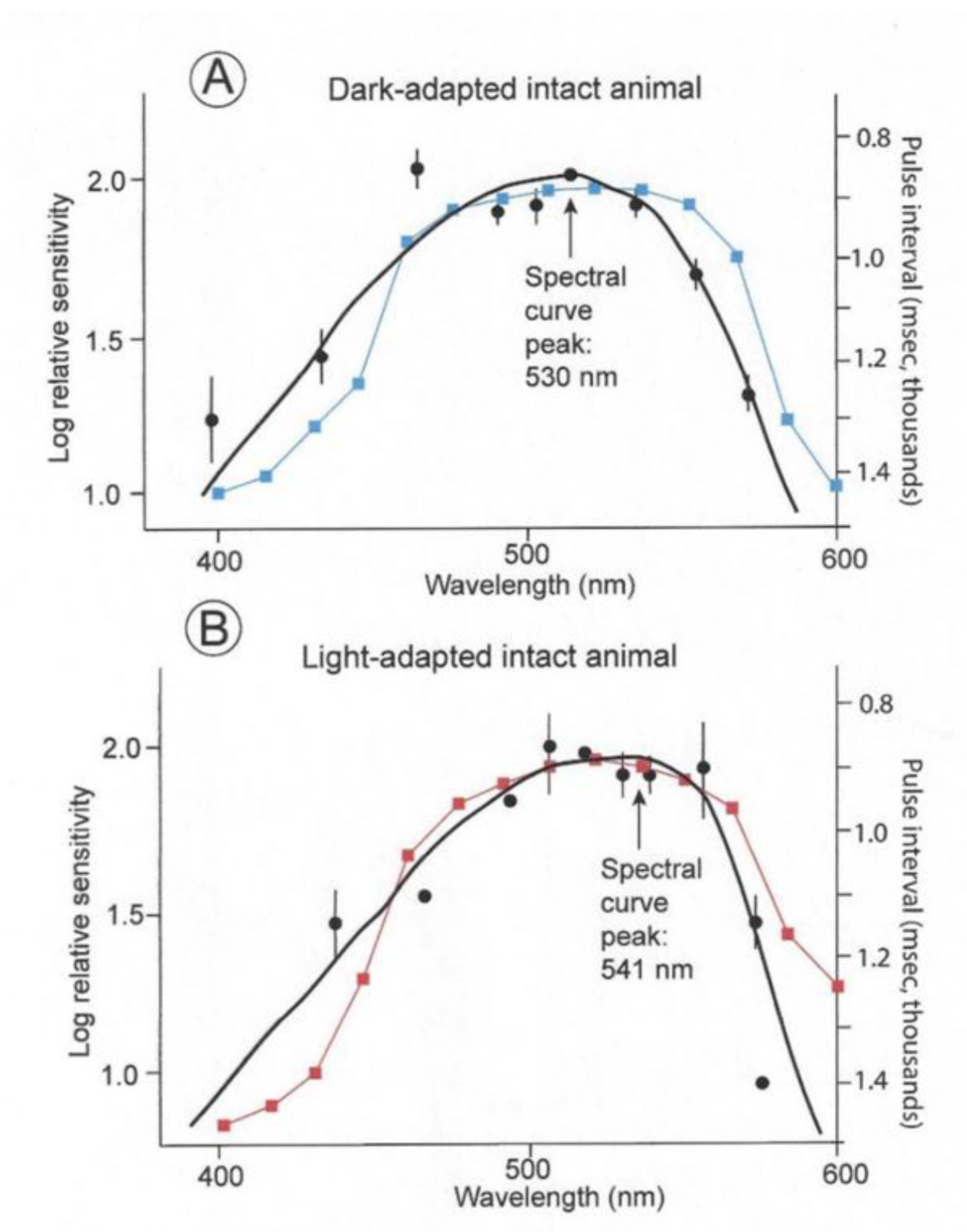 Biosensors 11 00105 g007 Biosensors 11 00105 g007
