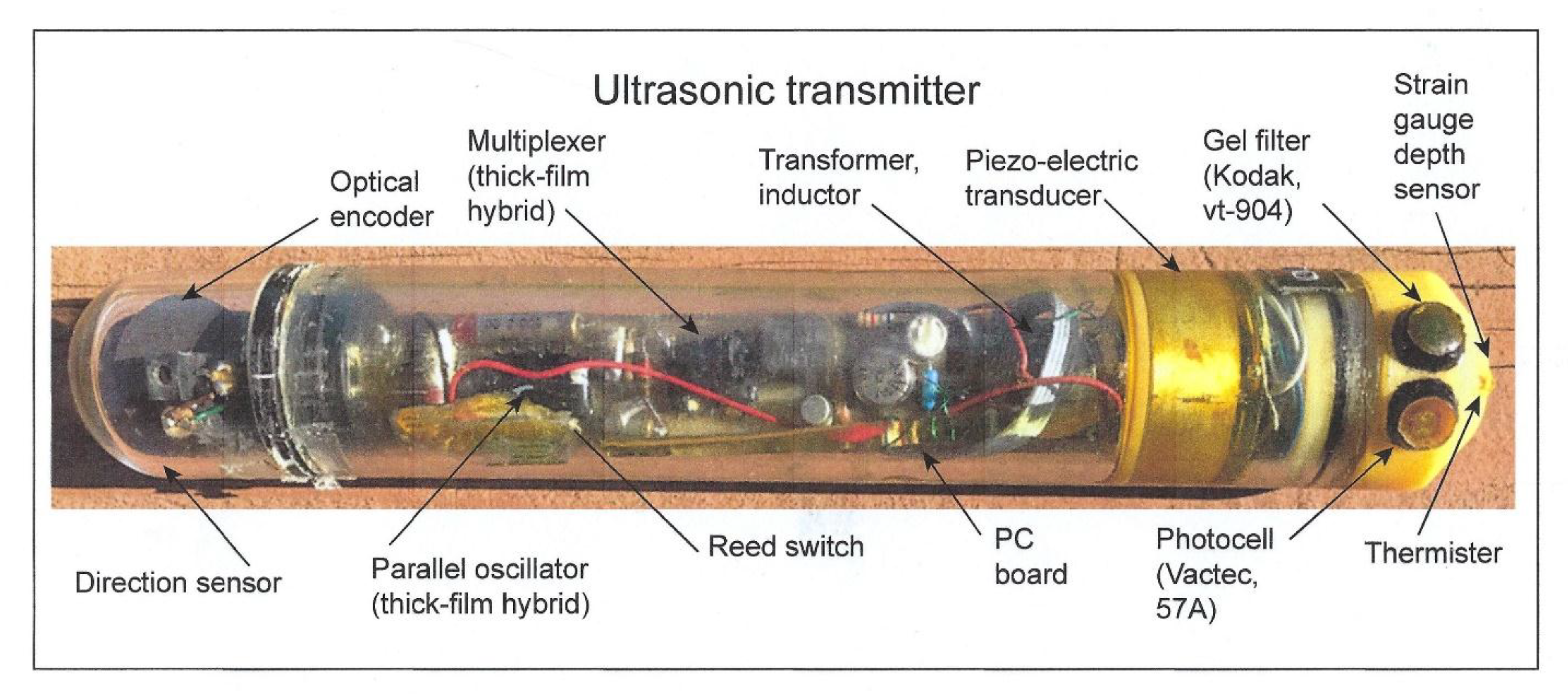 Biosensors 11 00105 g008 Biosensors 11 00105 g008