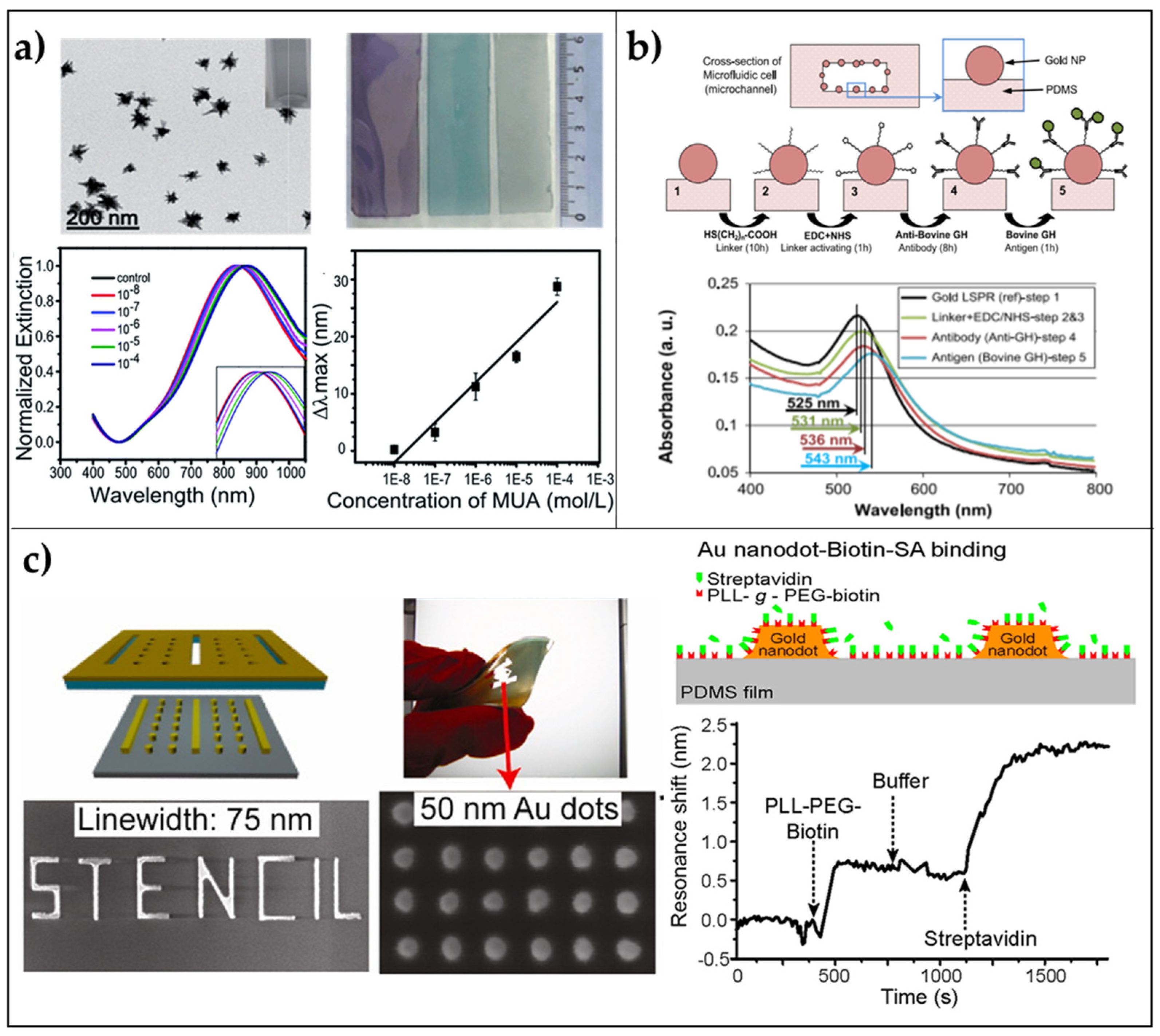 Biosensors 11 00107 g002 Biosensors 11 00107 g002